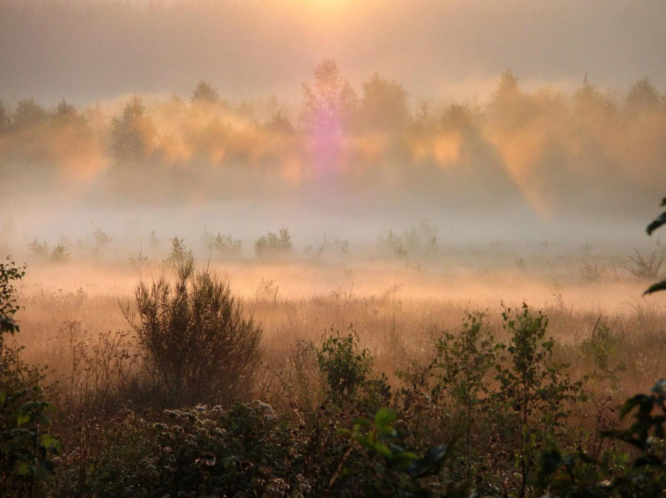 Natural landscape in Hôtel L'Amandier
