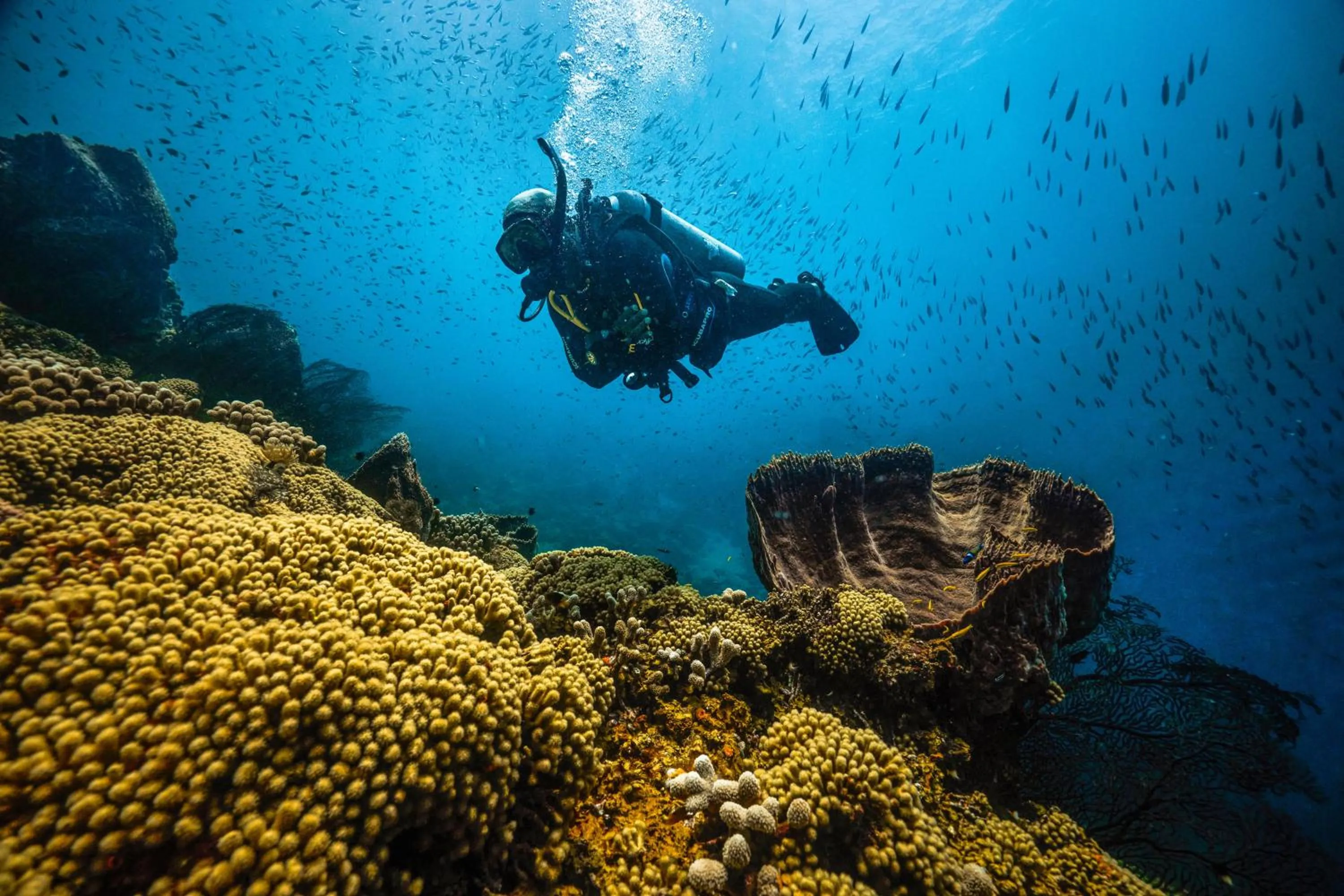 Activities in Sandals Regency La Toc All Inclusive Resort and Spa - Couples Only