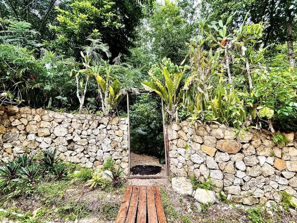 Natural landscape in Hotel Mon Ami