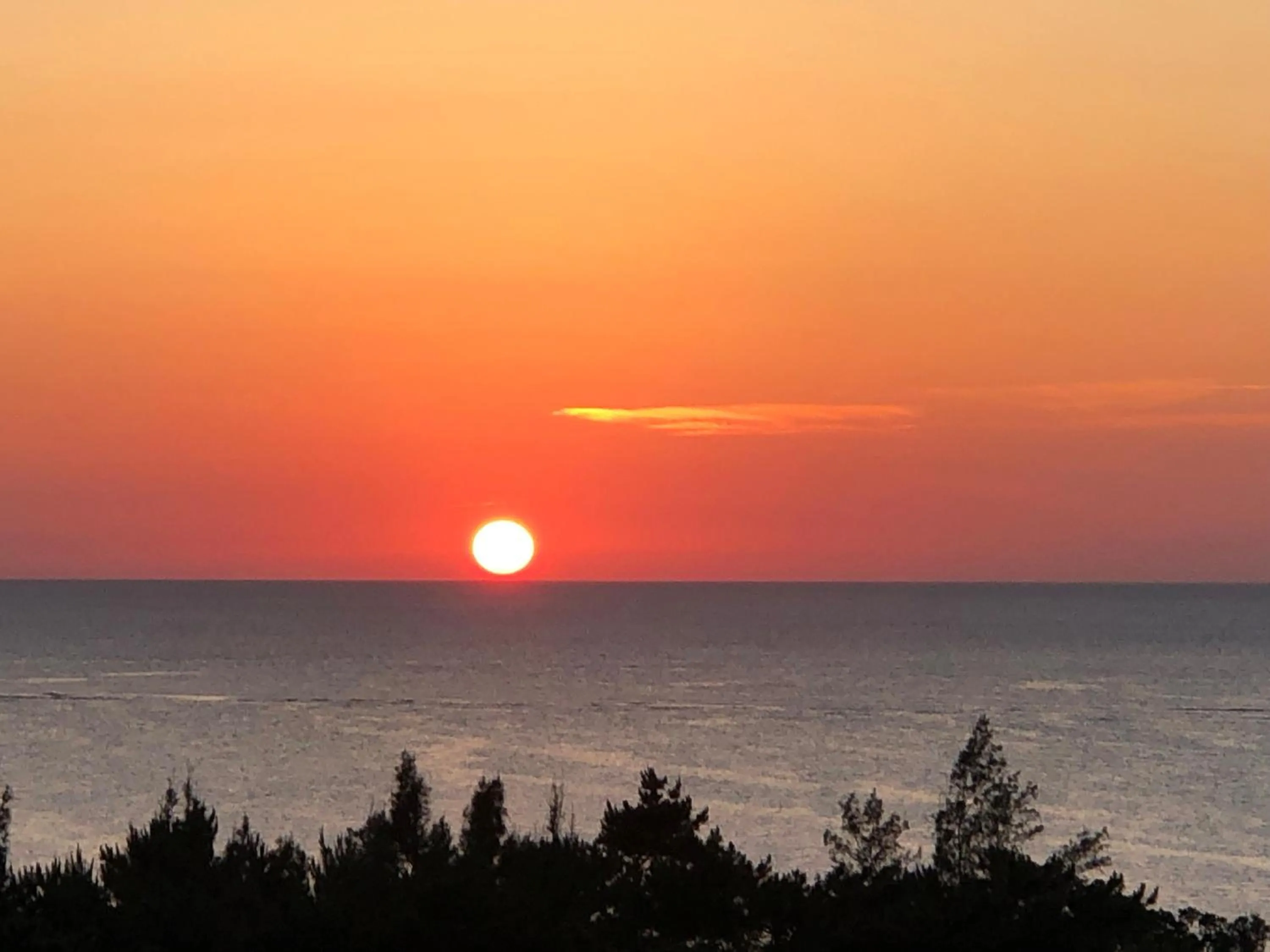 Restaurant/places to eat in The Peridot Smart Hotel Tancha Ward