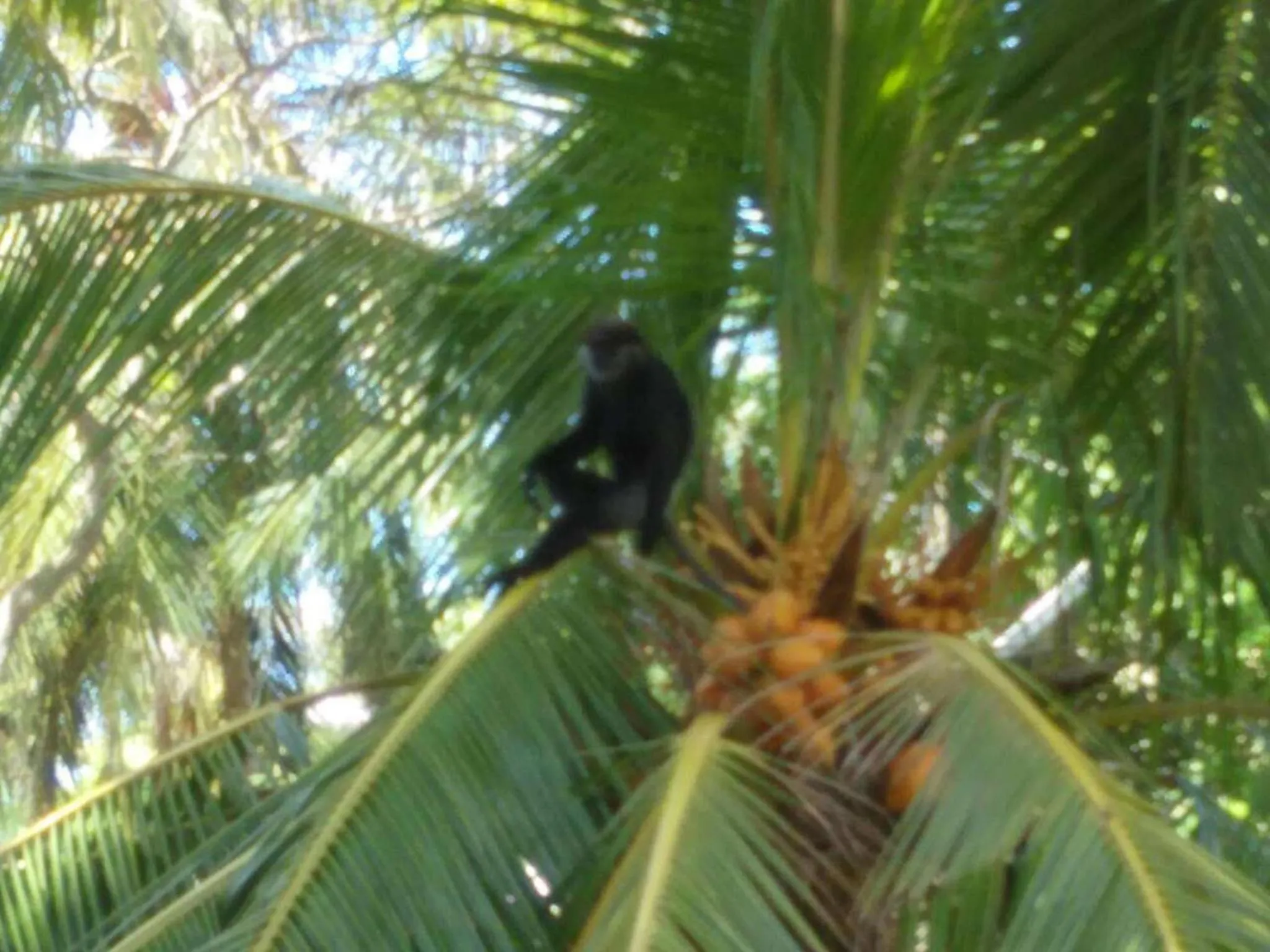 Other in Ging View Villa