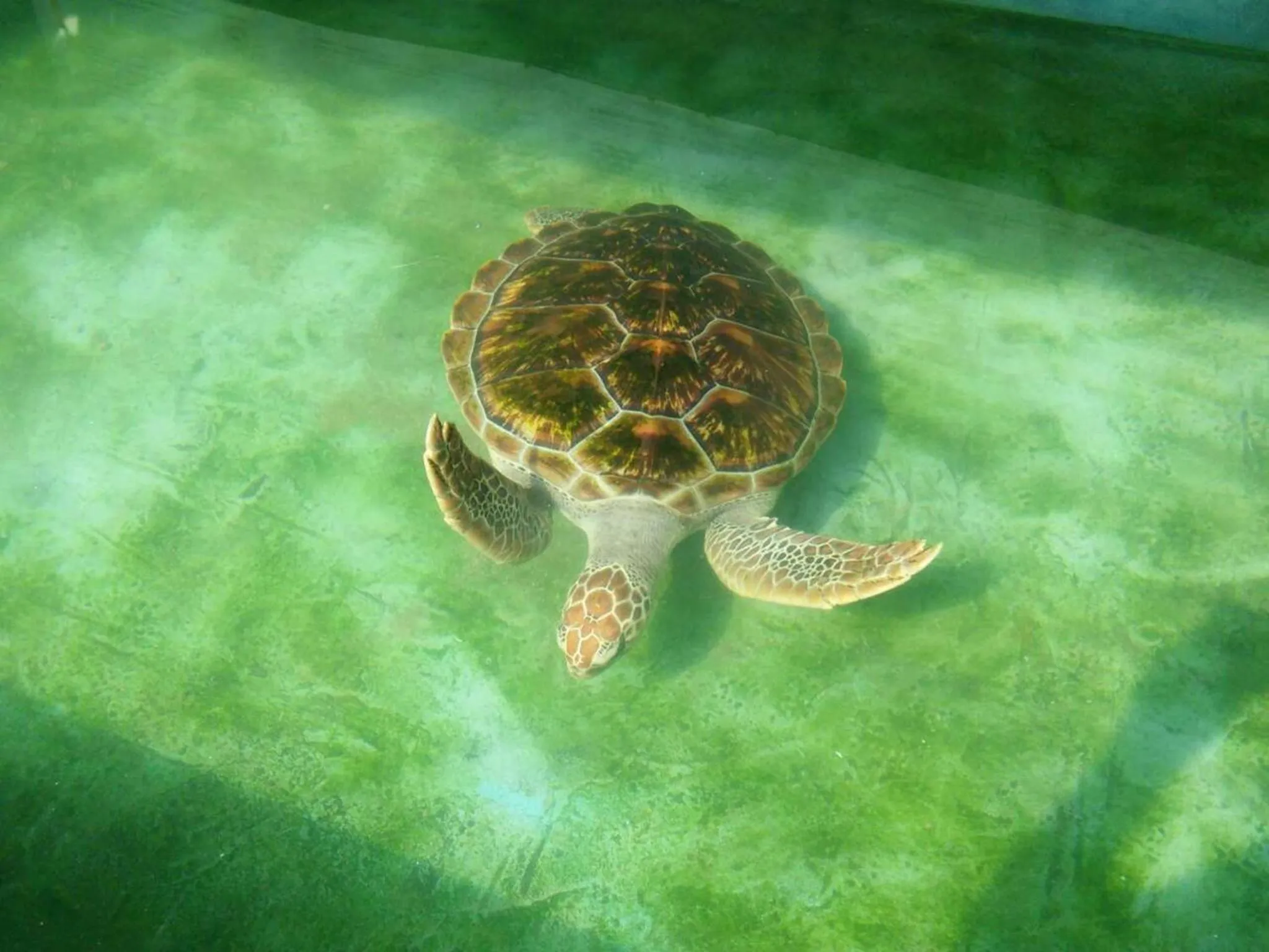 Off site in Ging View Villa