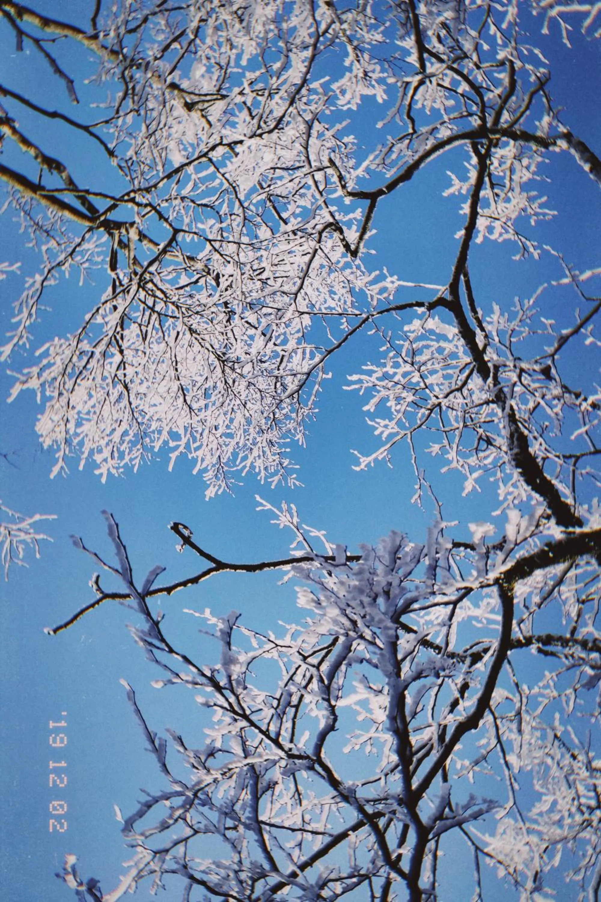 Winter in Kunlun International Youth Hostel