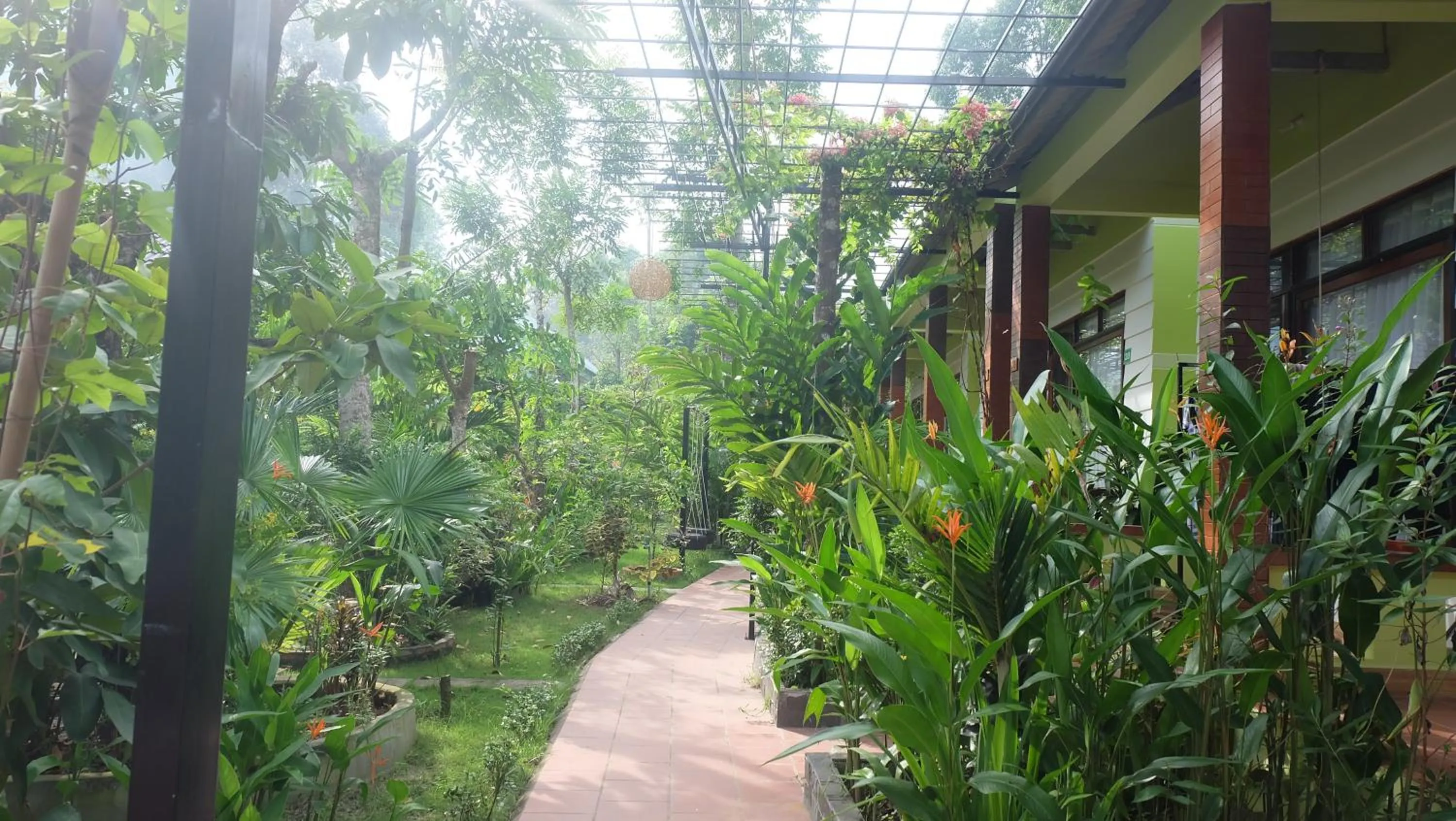Garden in Mai Binh Phuong Bungalow
