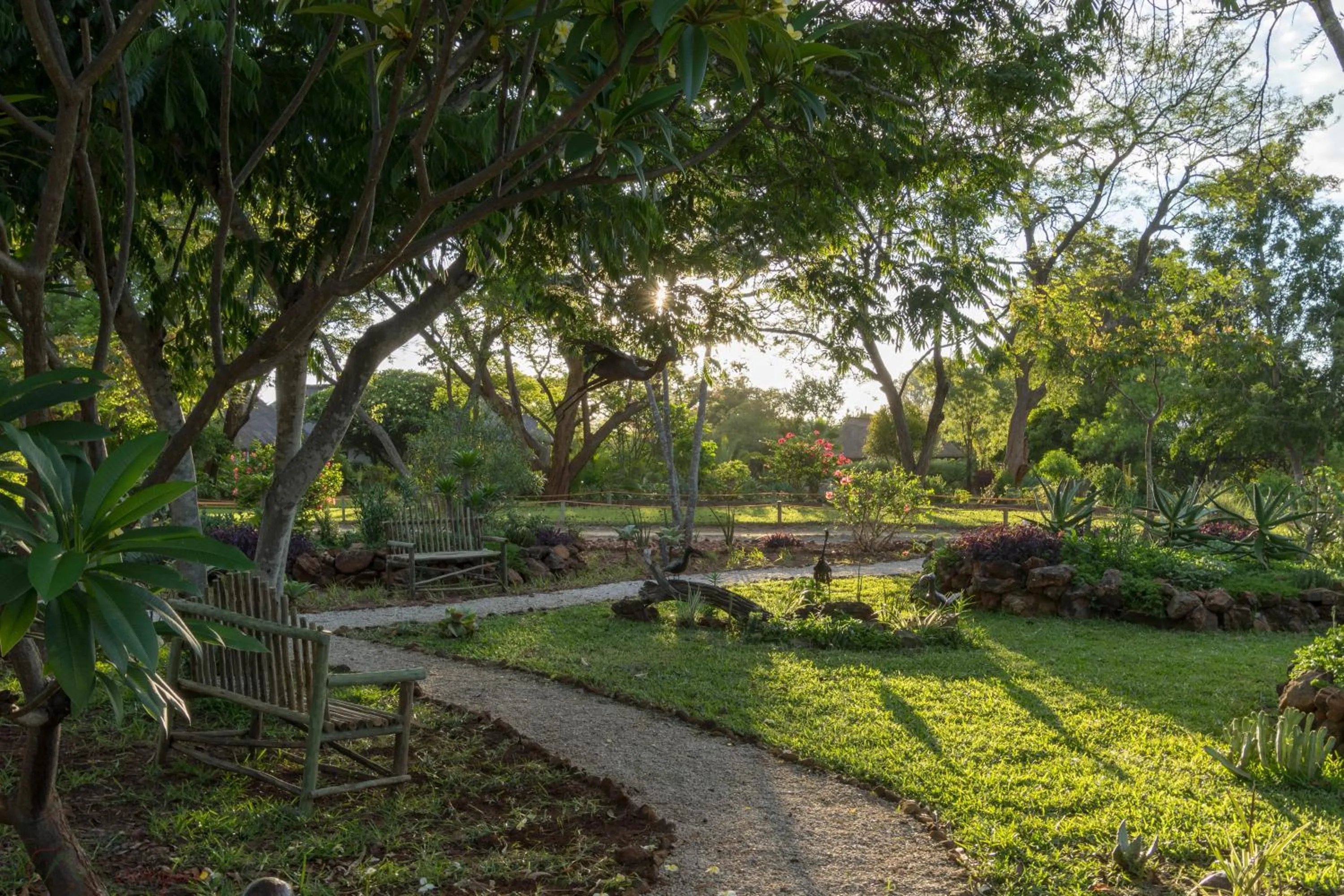 Garden in Musangano Lodge