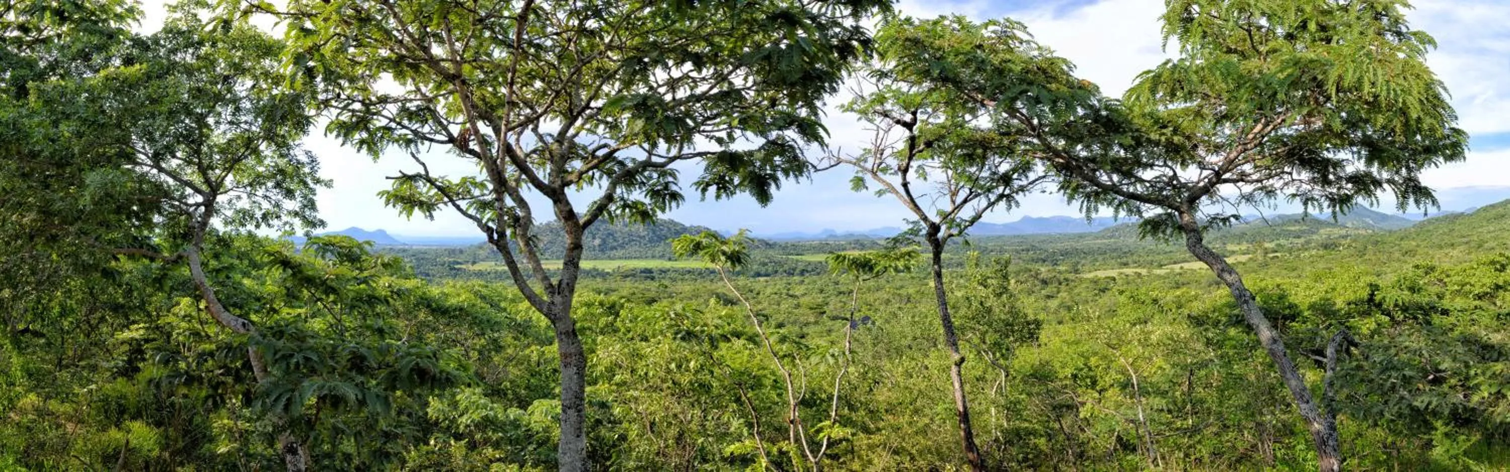 Hiking in Musangano Lodge