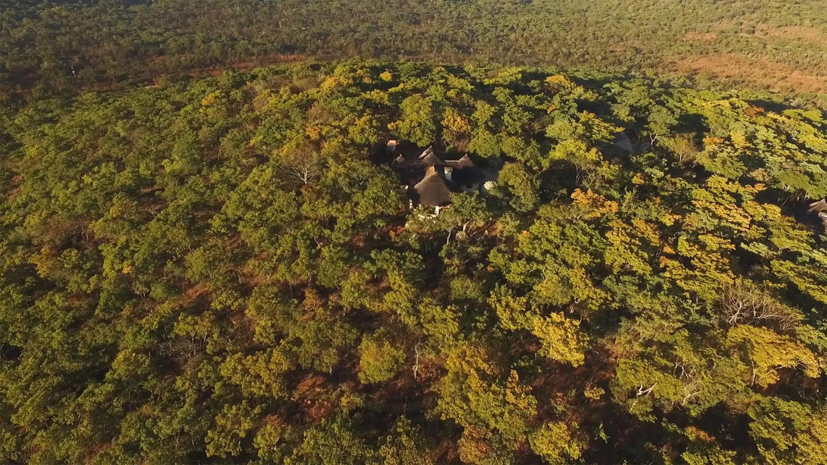 Natural landscape in Musangano Lodge
