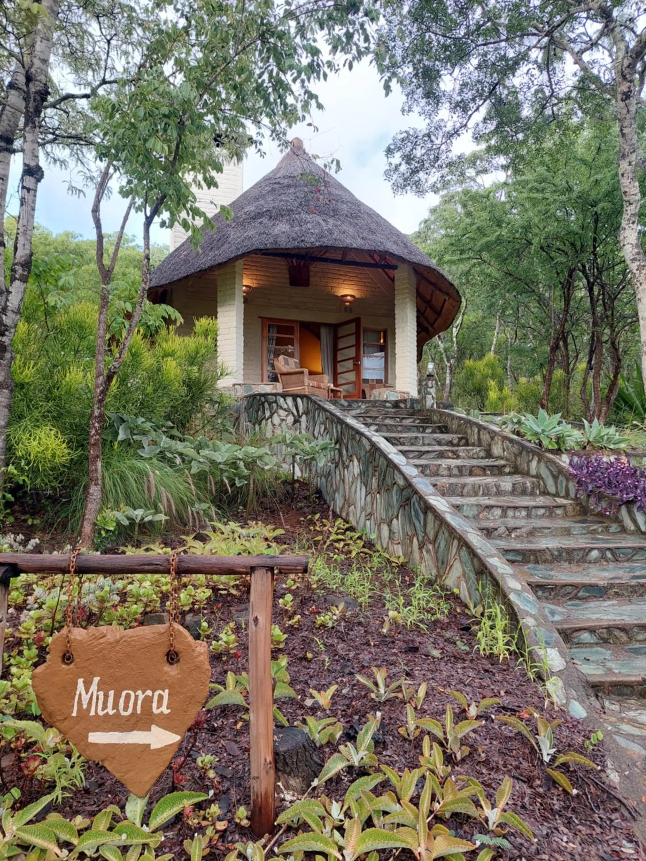 Natural landscape in Musangano Lodge