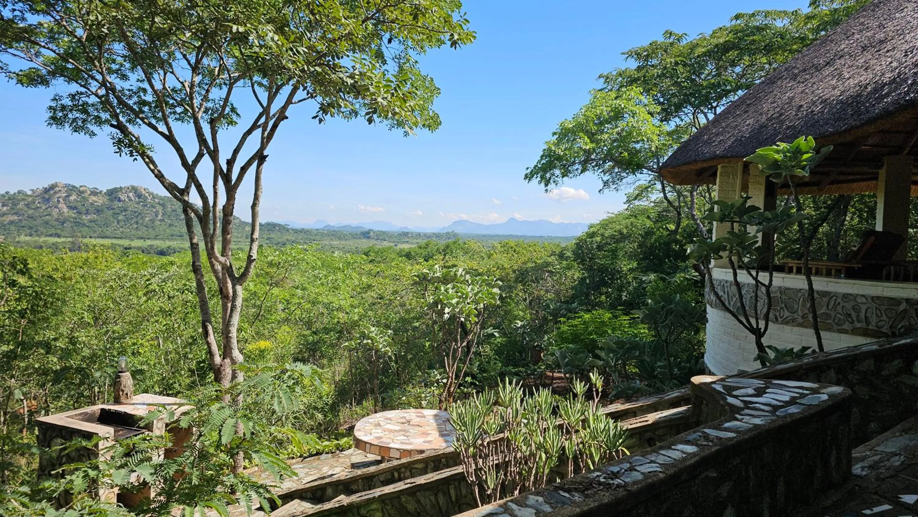 View (from property/room) in Musangano Lodge