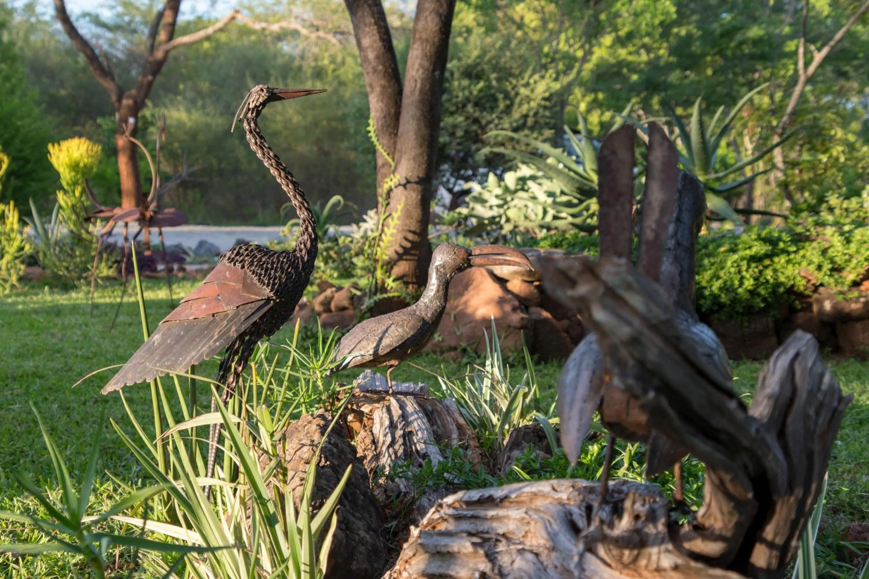 Garden in Musangano Lodge