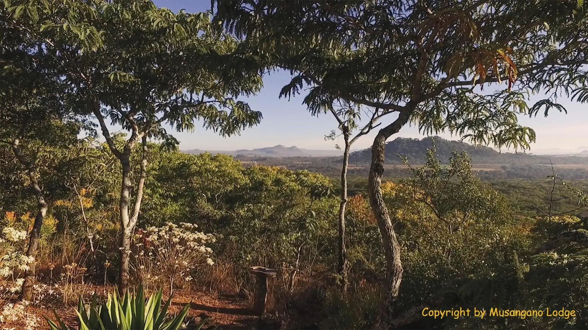 Natural landscape in Musangano Lodge