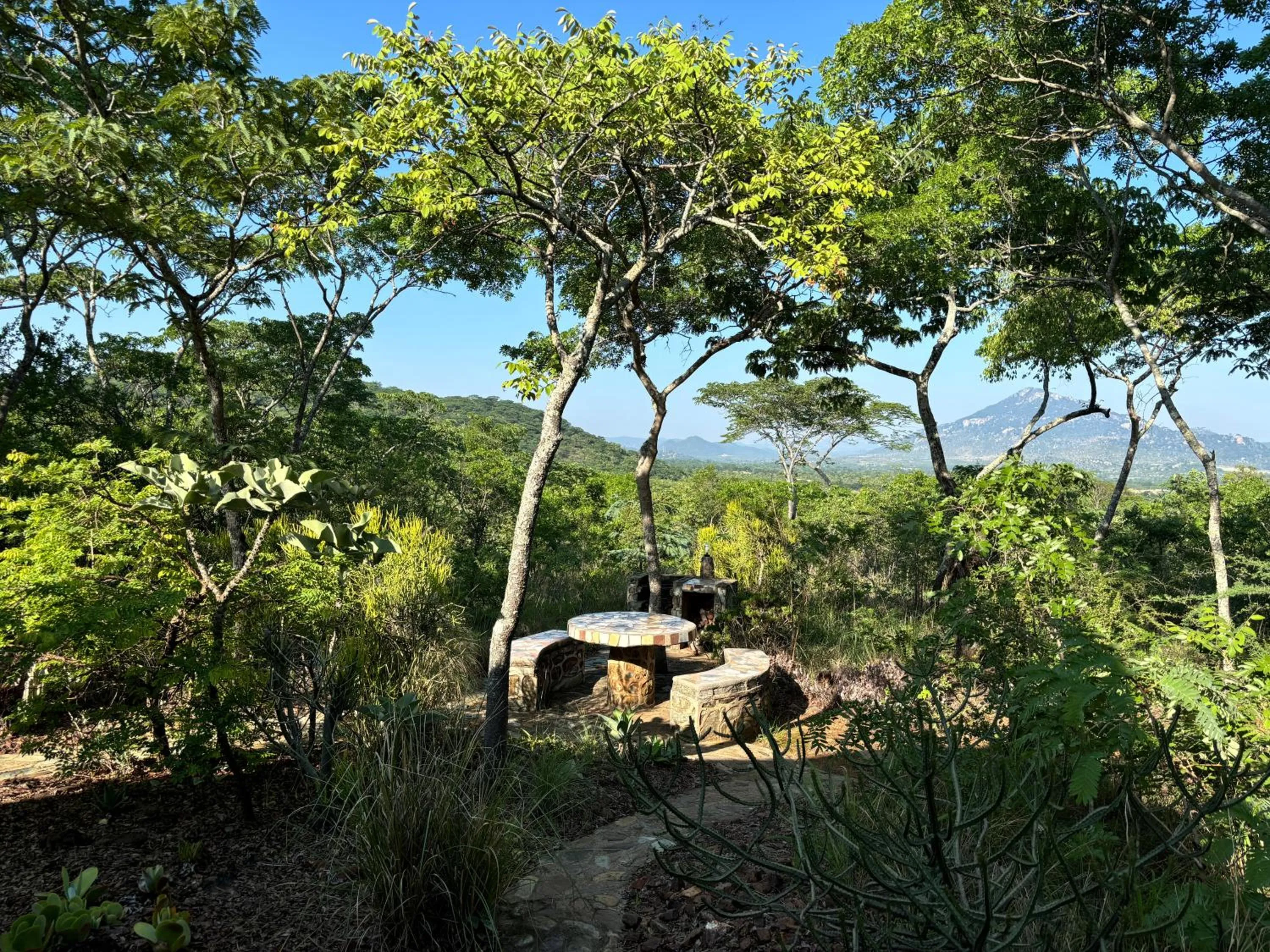View (from property/room) in Musangano Lodge