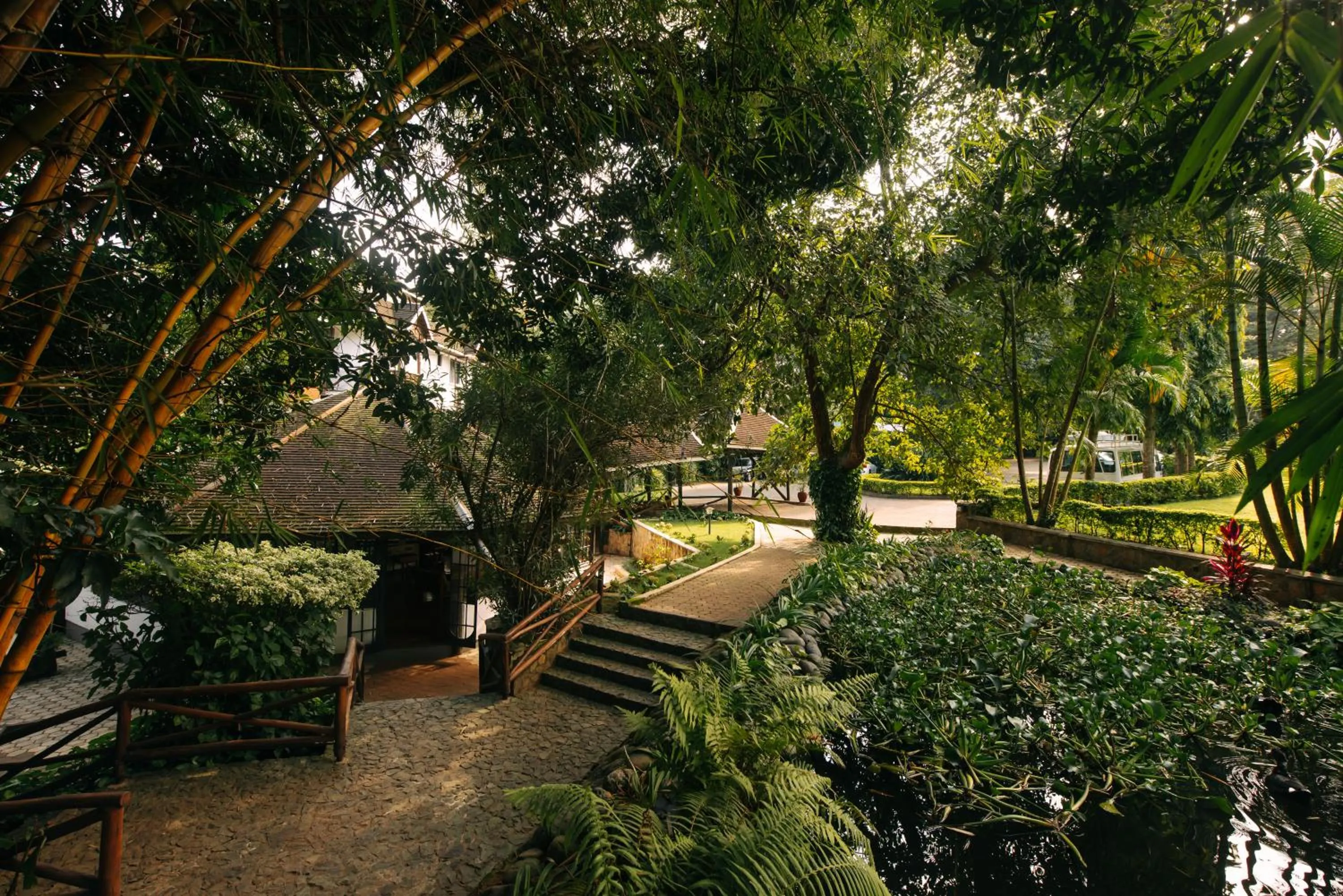 Natural landscape in Aishi Machame