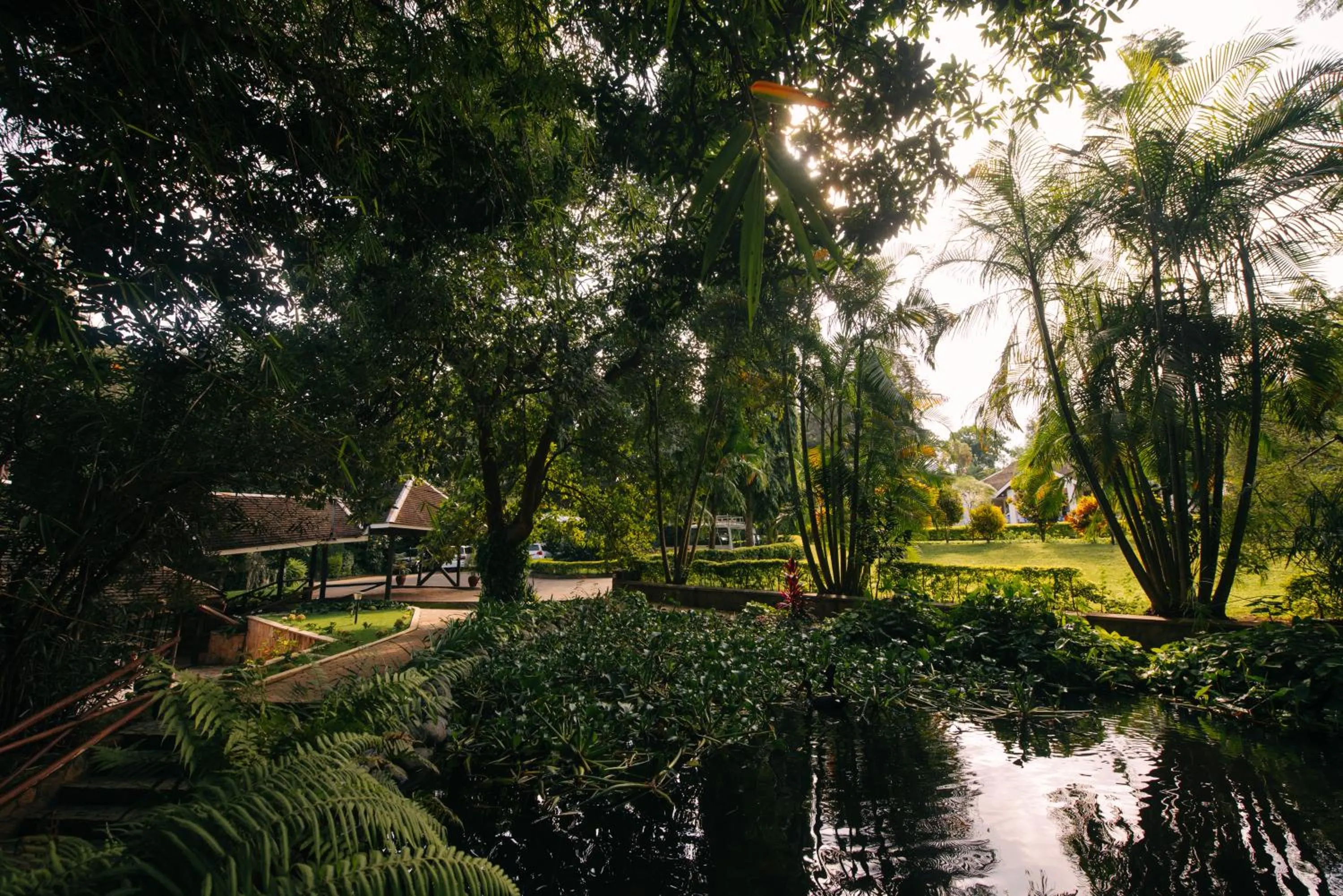 Natural landscape in Aishi Machame