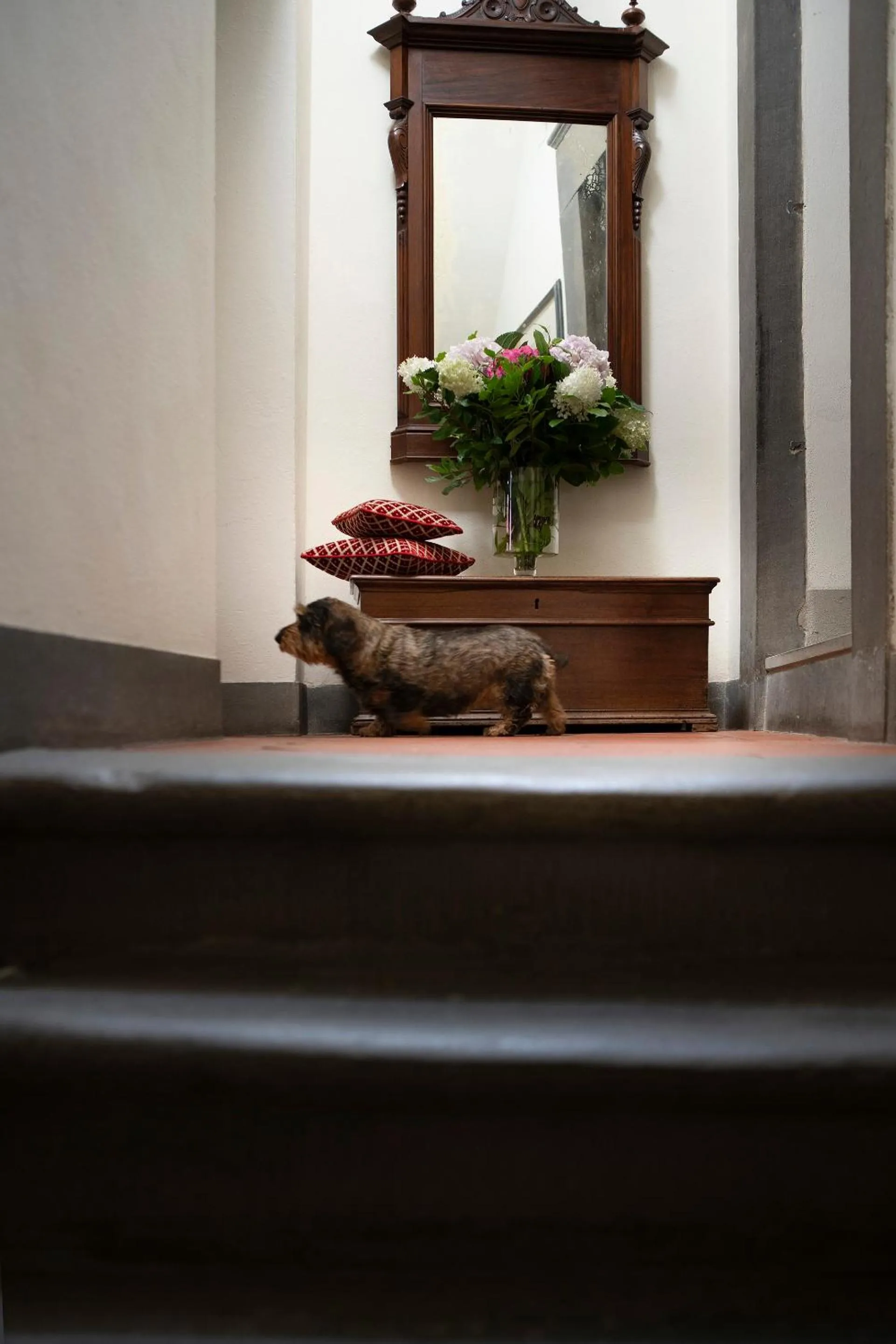 Pets in Palazzo Malaspina B&B