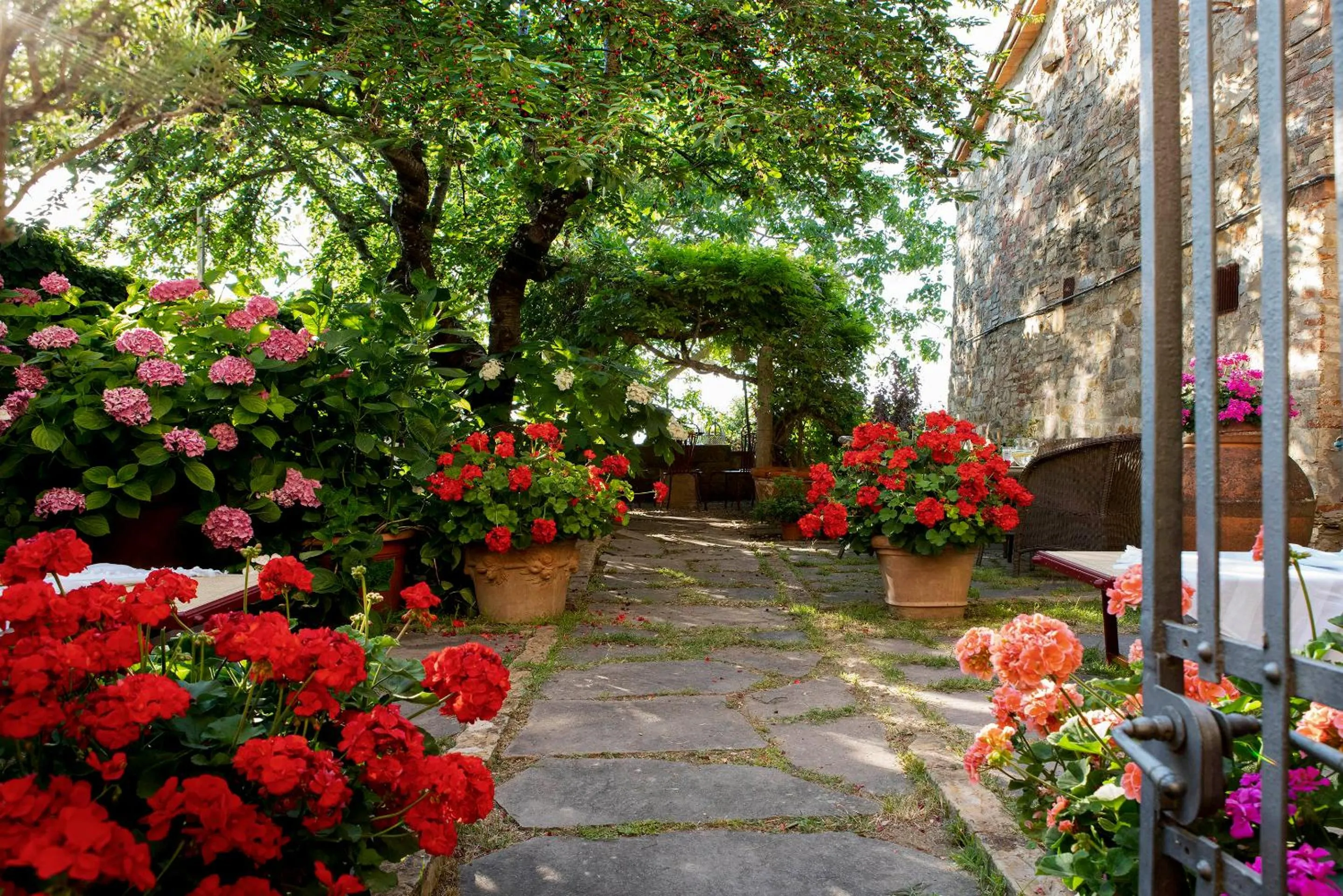 Garden in Palazzo Malaspina B&B