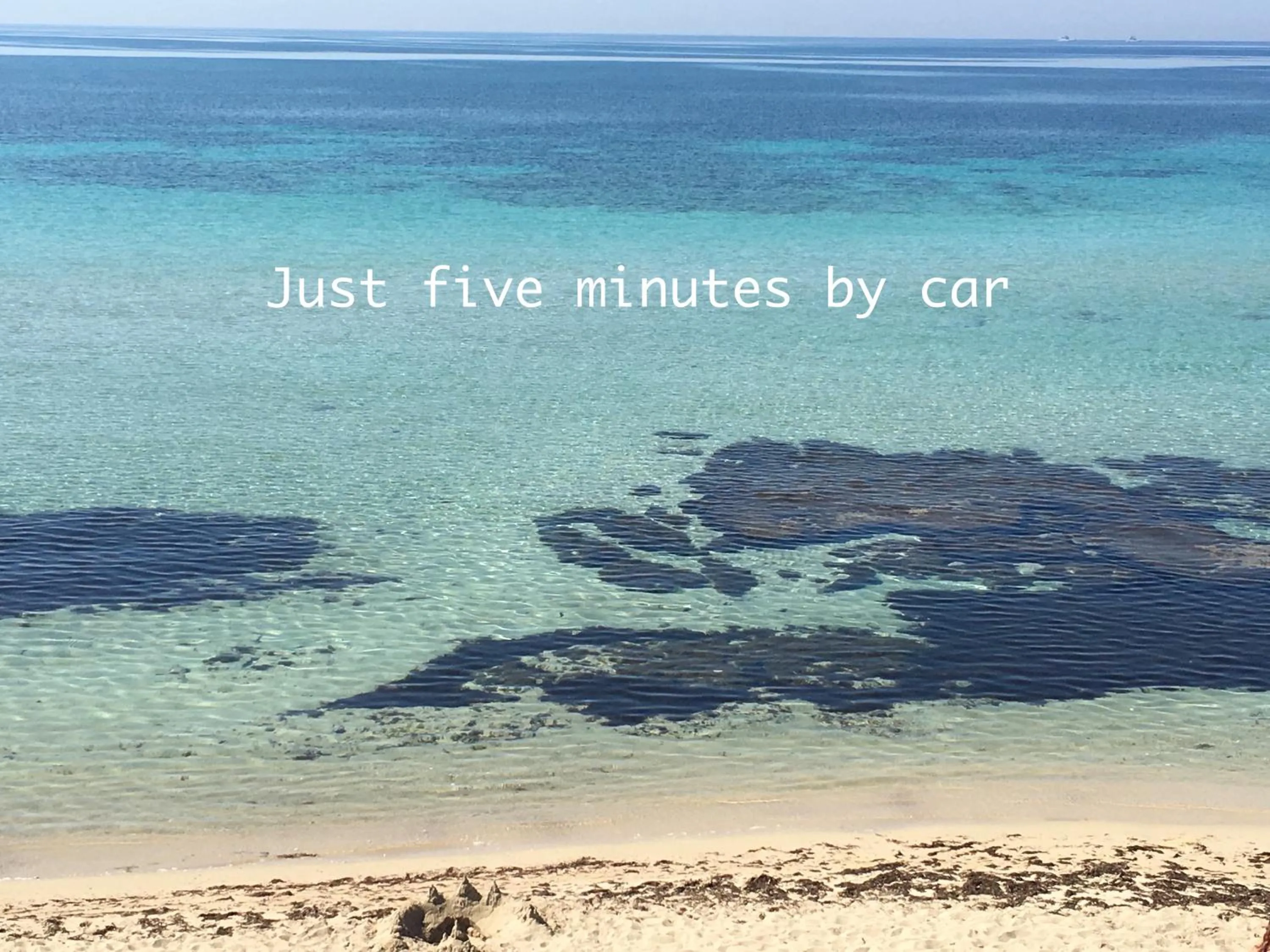 Area and facilities in Hibiscus