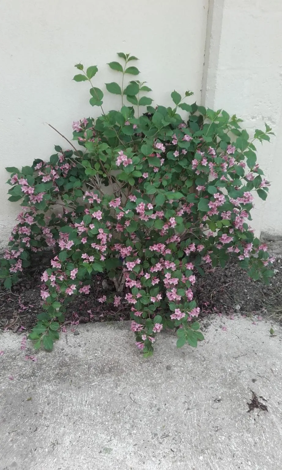 Les Demeures de la Laigne