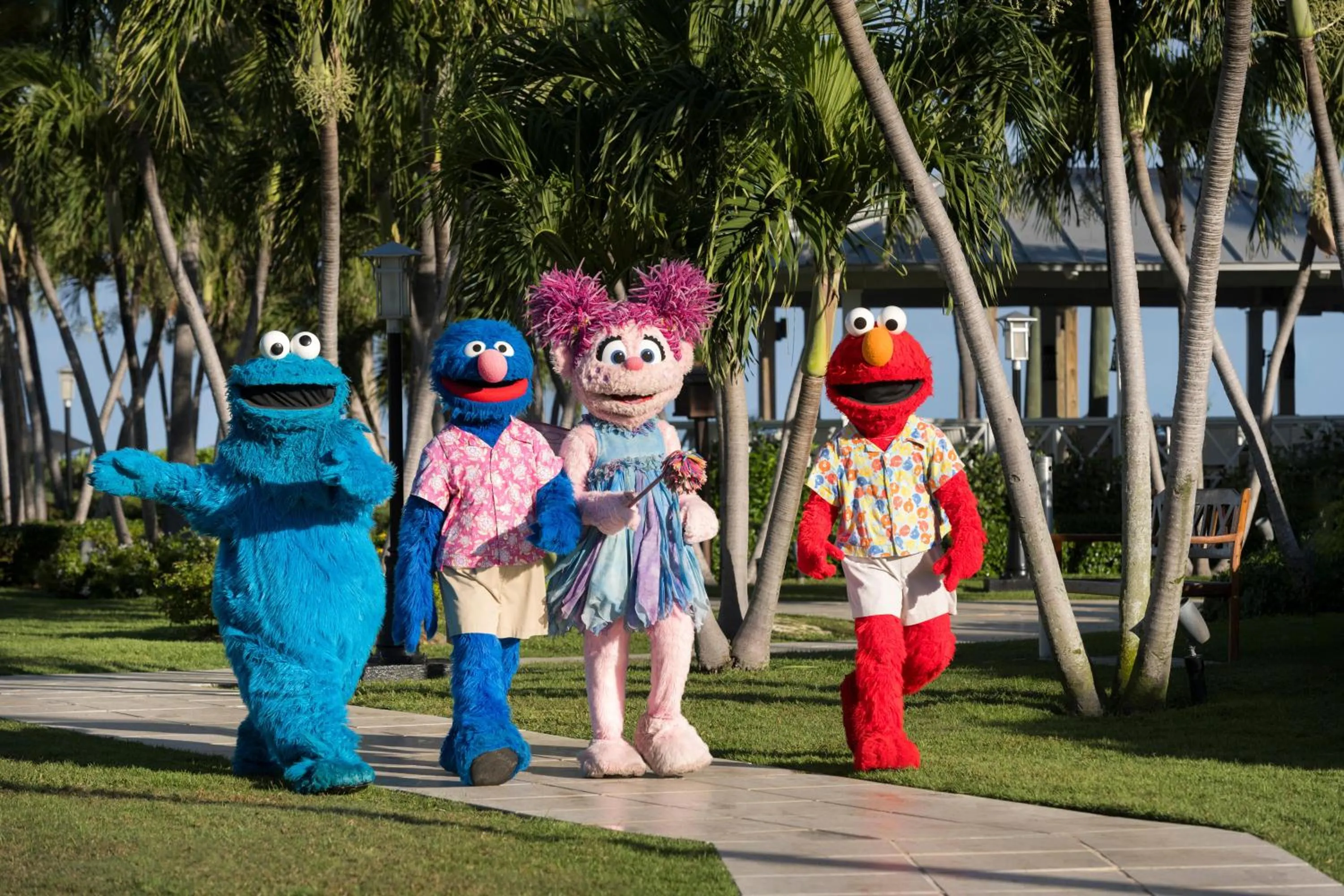 Activities in Beaches Turks and Caicos Resort Villages and Spa All Inclusive