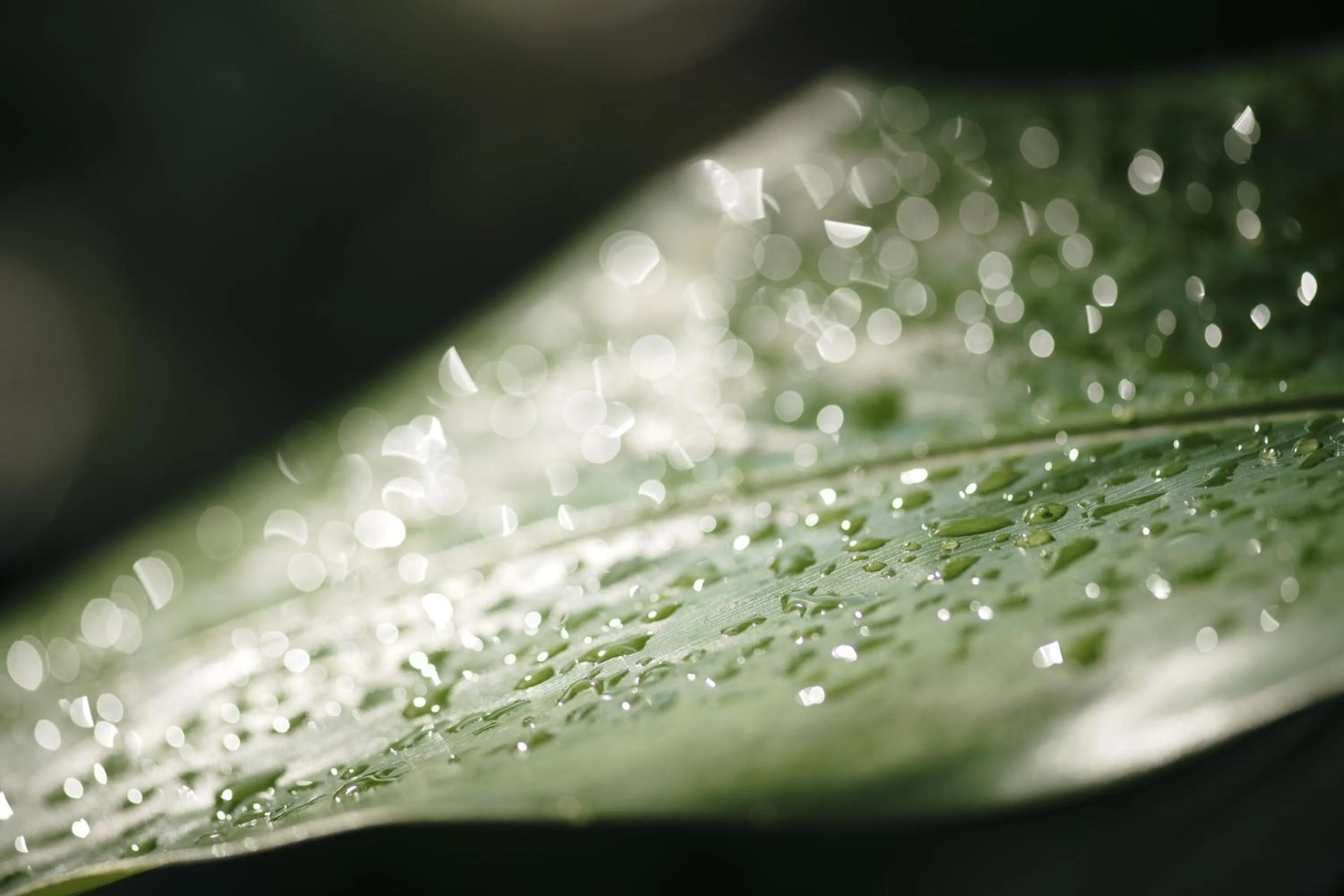 Bathroom in Sandals Grande Antigua - All Inclusive Resort and Spa - Couples Only