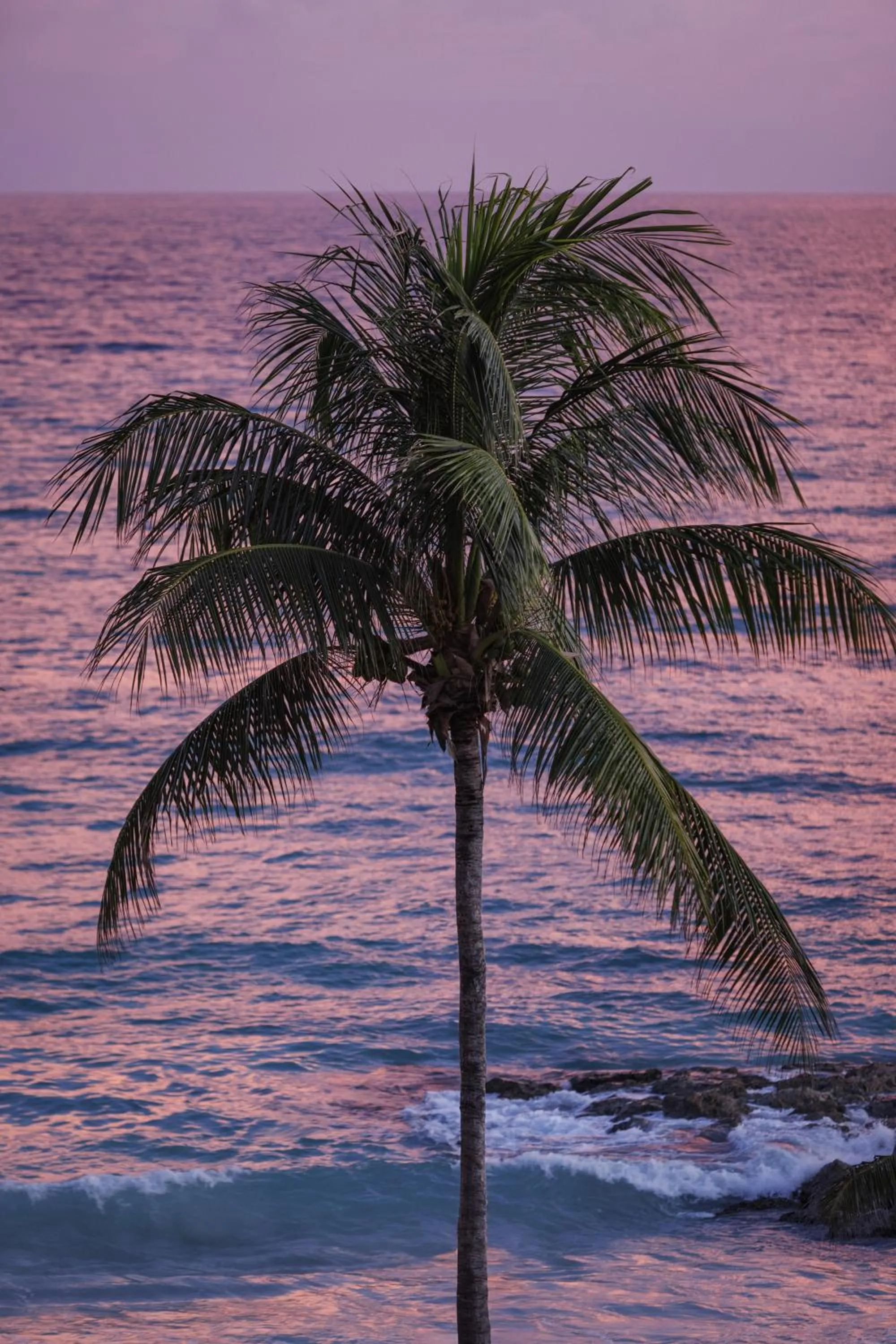 Photo of the whole room in Sandals South Coast All Inclusive - Couples Only
