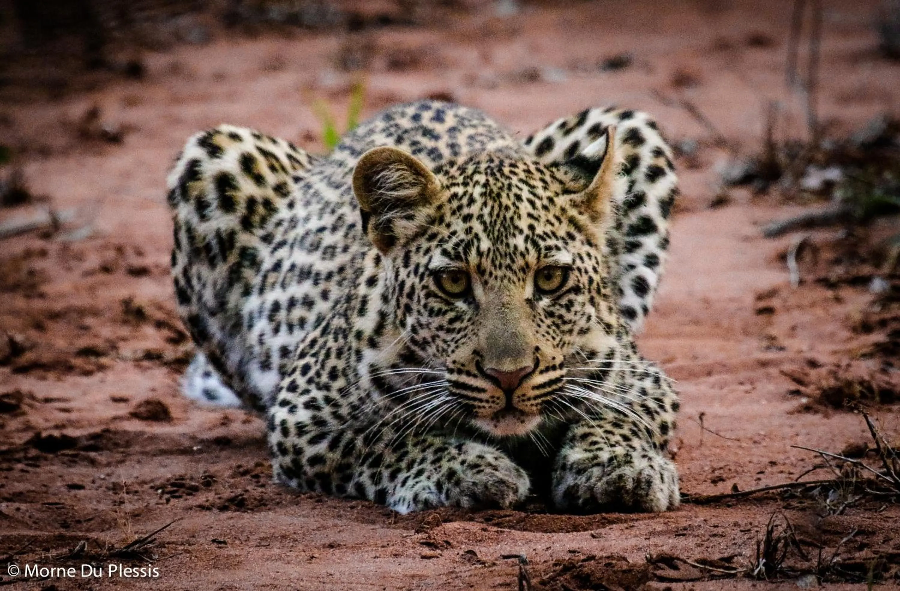 Off site in Pelican's Nest Holiday Home St Lucia