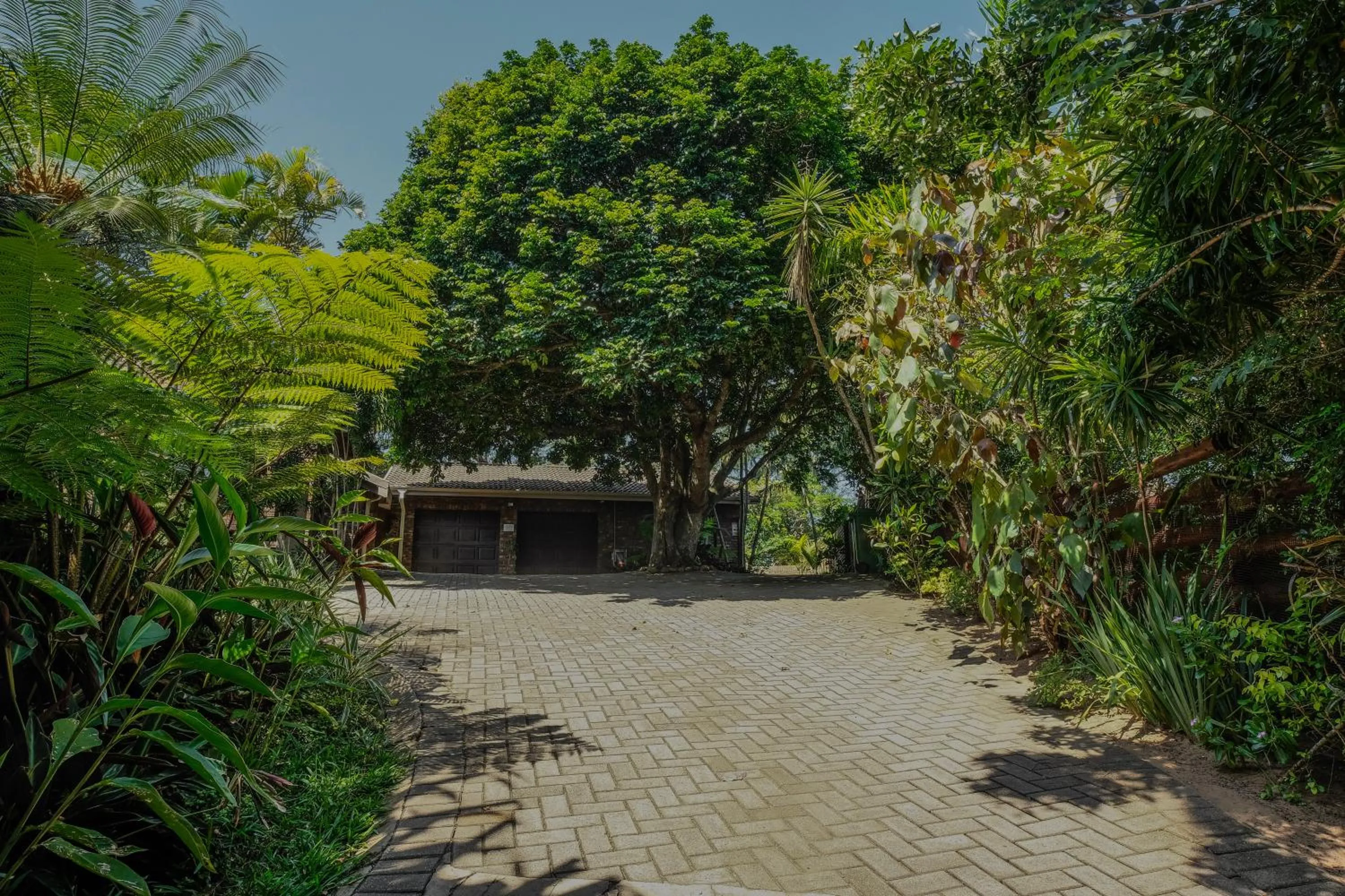 Garden in Pelican's Nest Holiday Home St Lucia