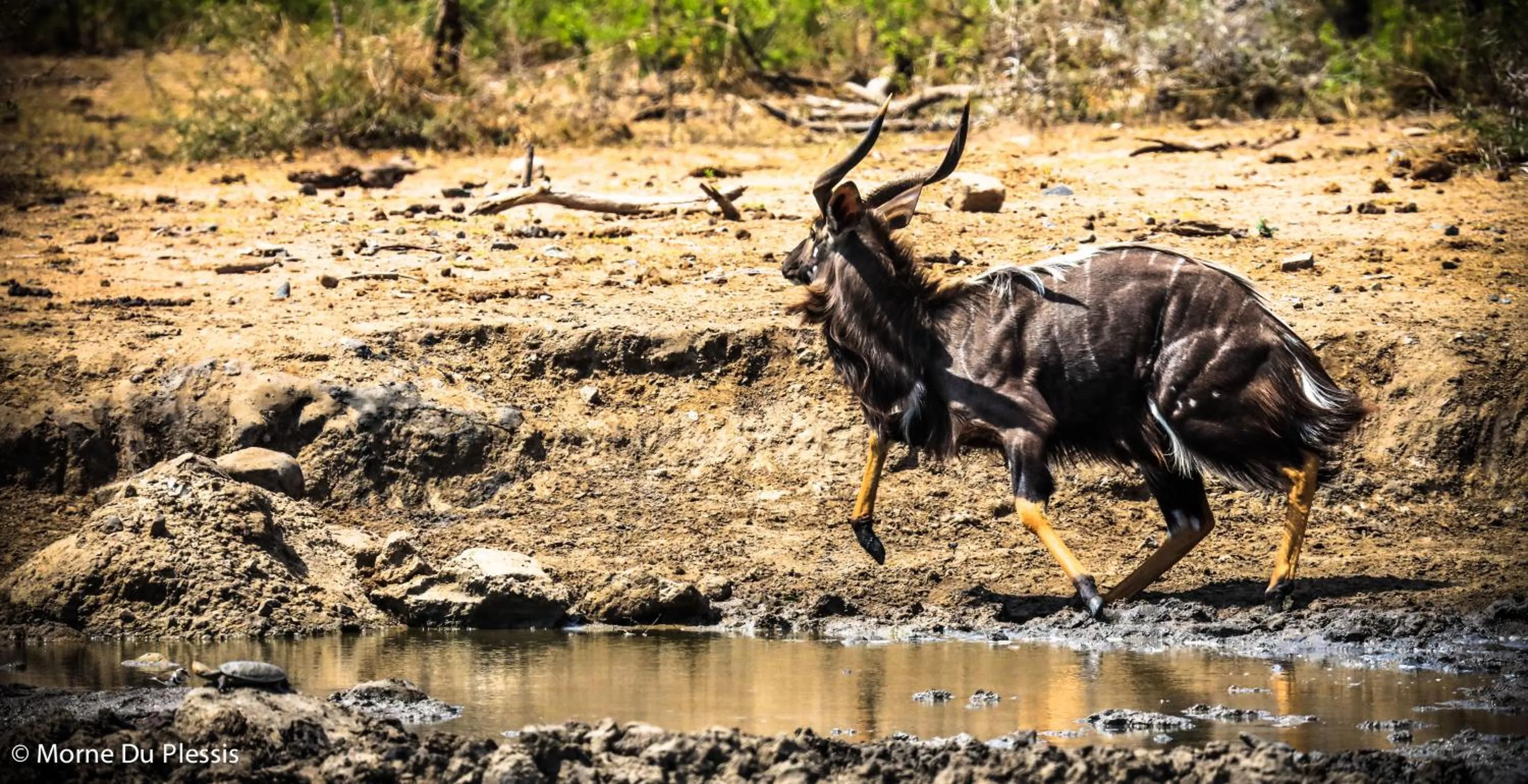 Off site in Pelican's Nest Holiday Home St Lucia