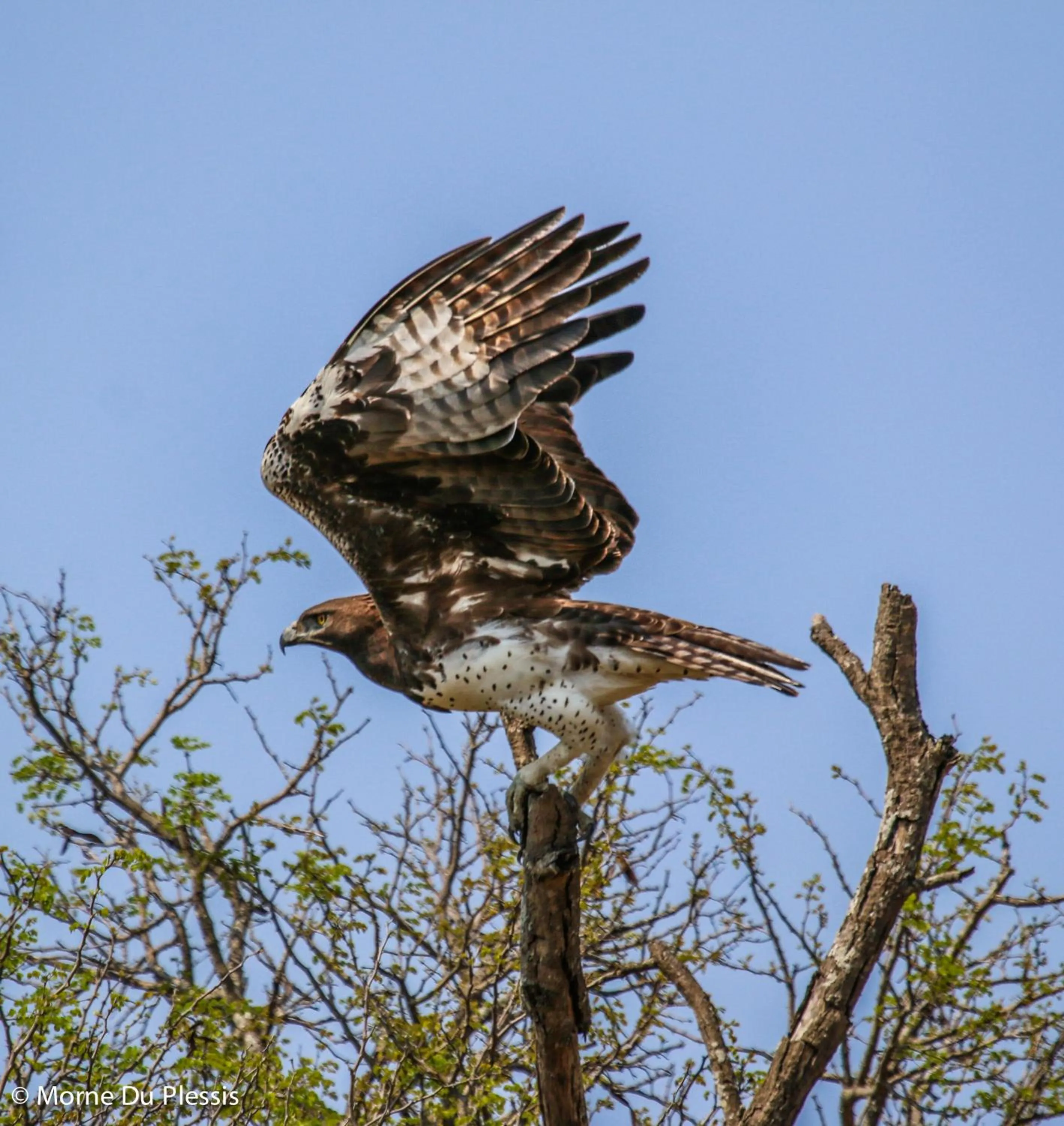 View (from property/room) in Pelican's Nest Holiday Home St Lucia