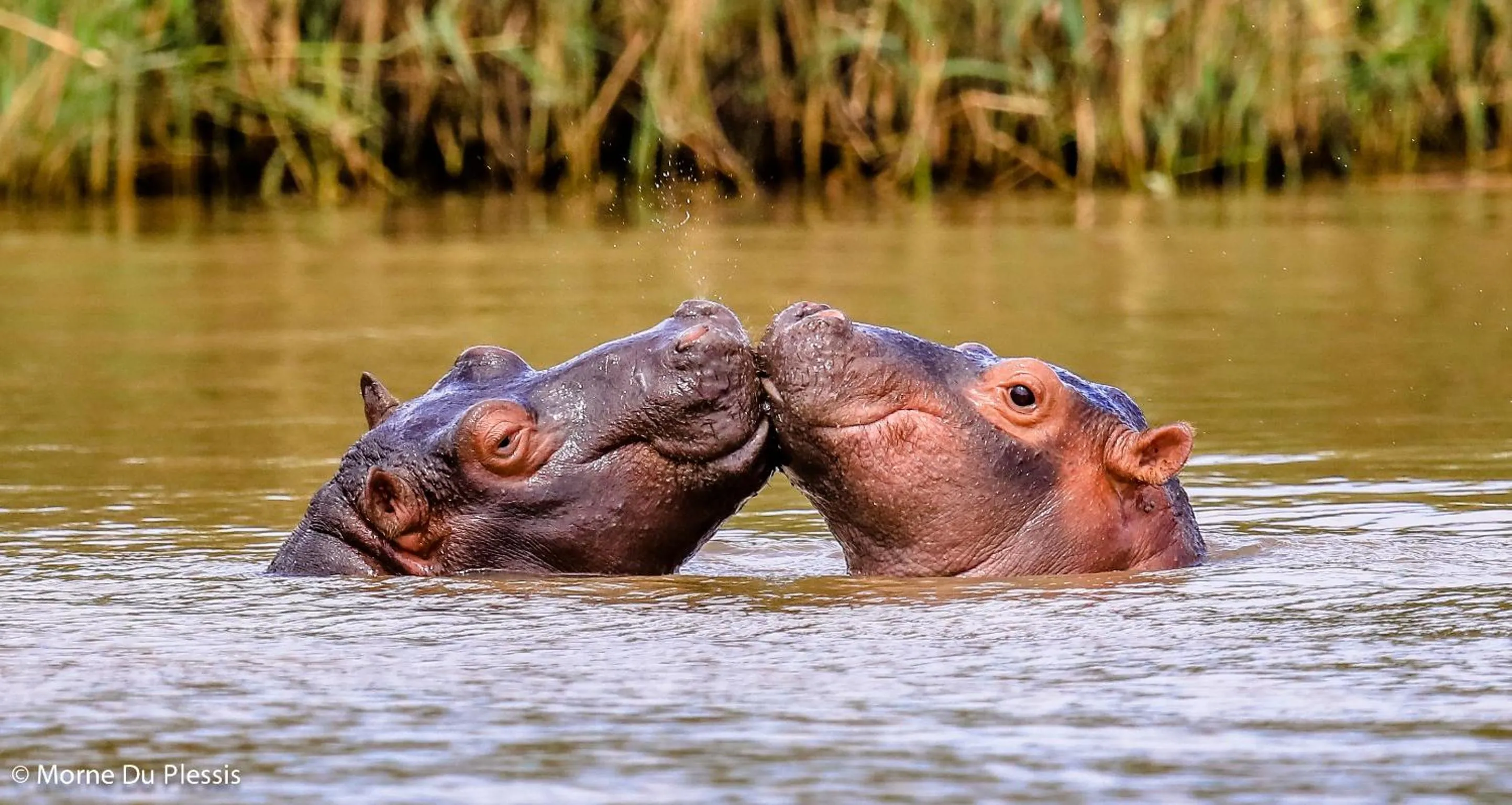 Off site in Pelican's Nest Holiday Home St Lucia