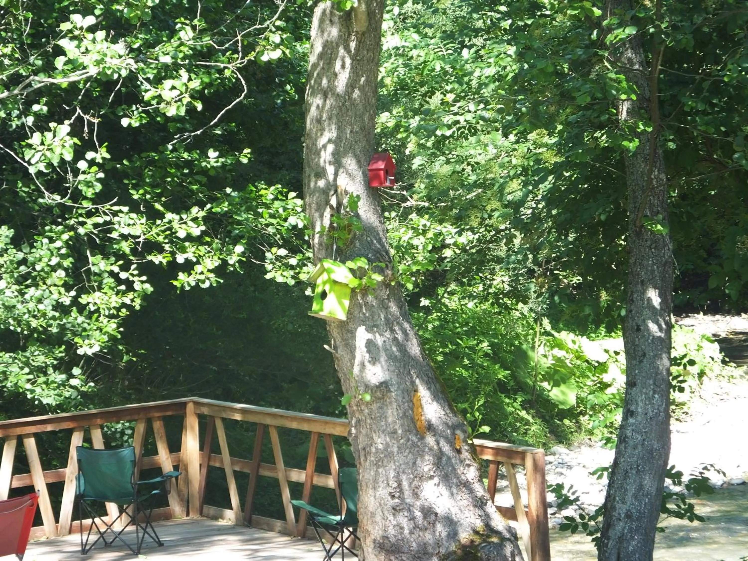 River view in Abant Lotus Otel