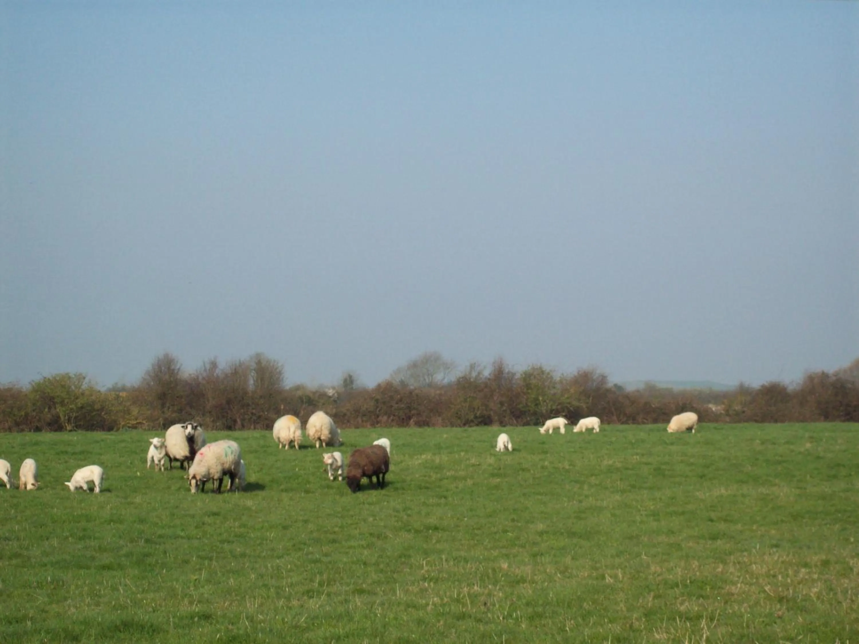 Natural landscape in WILLOW BARN boutique B&B