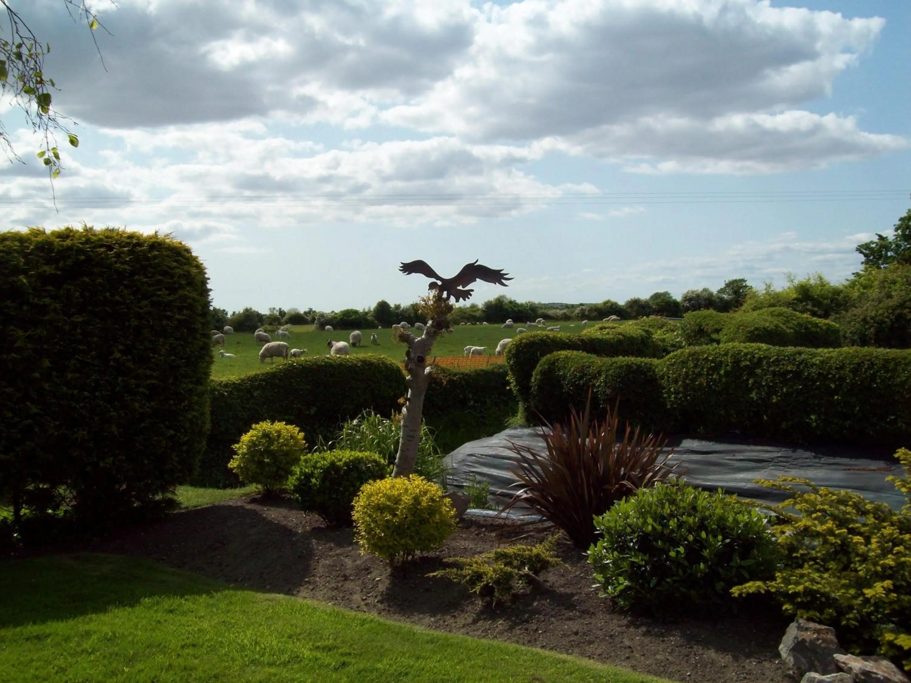 Natural landscape in WILLOW BARN boutique B&B