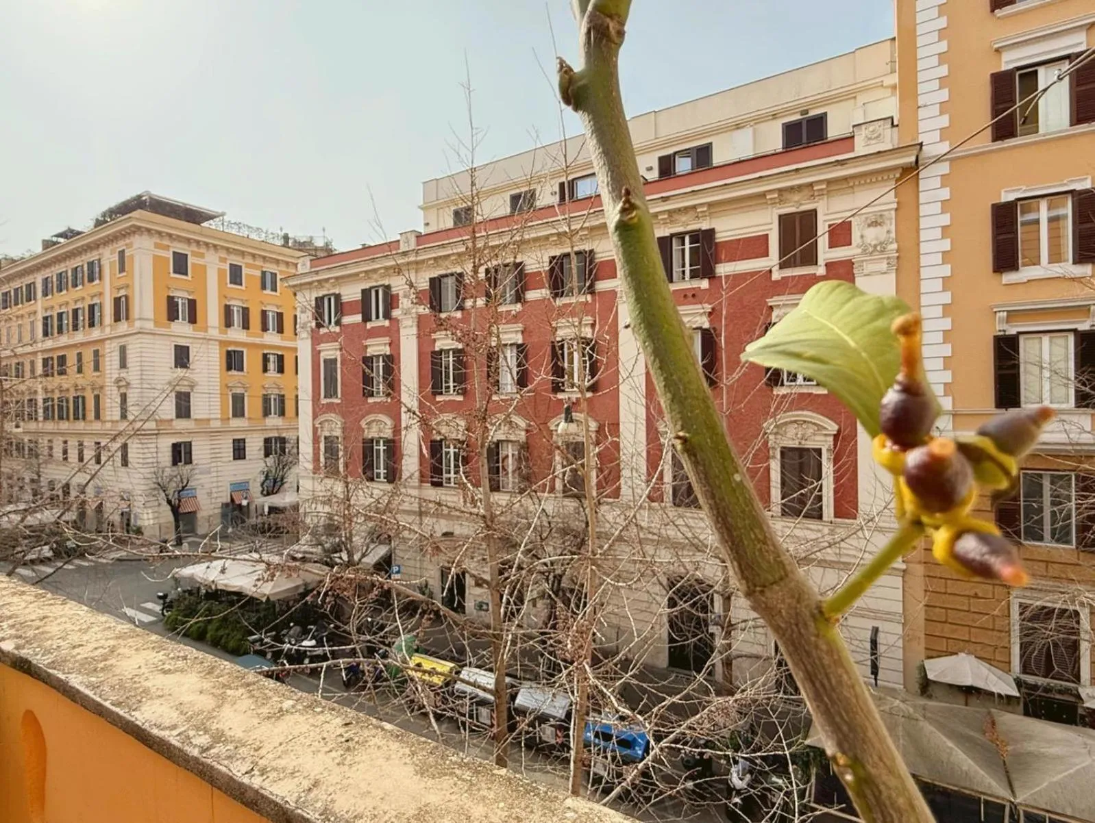 View (from property/room) in Fabio Massimo Guest House