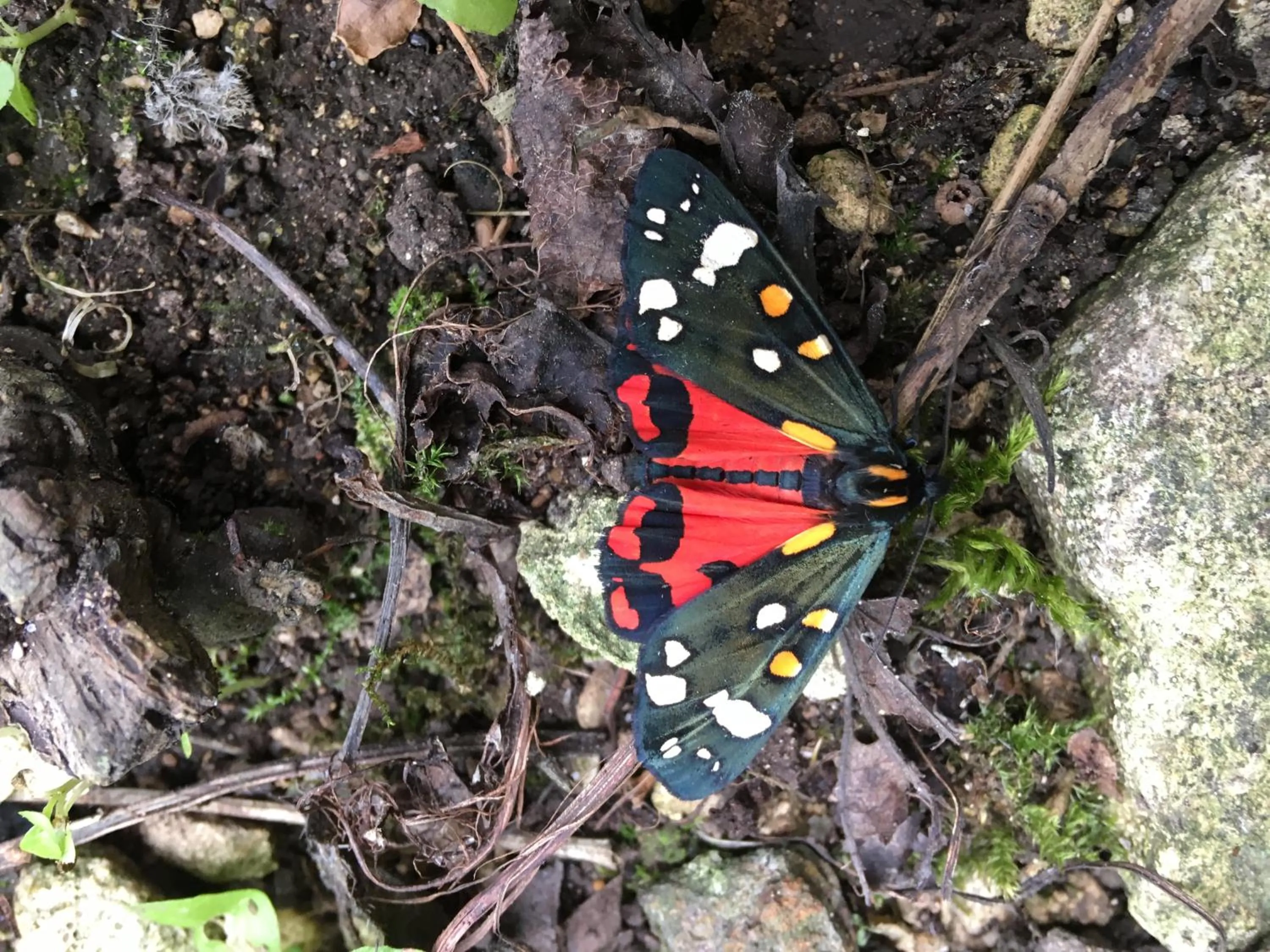 Field End House Strawberry Lane Meysey Hampton