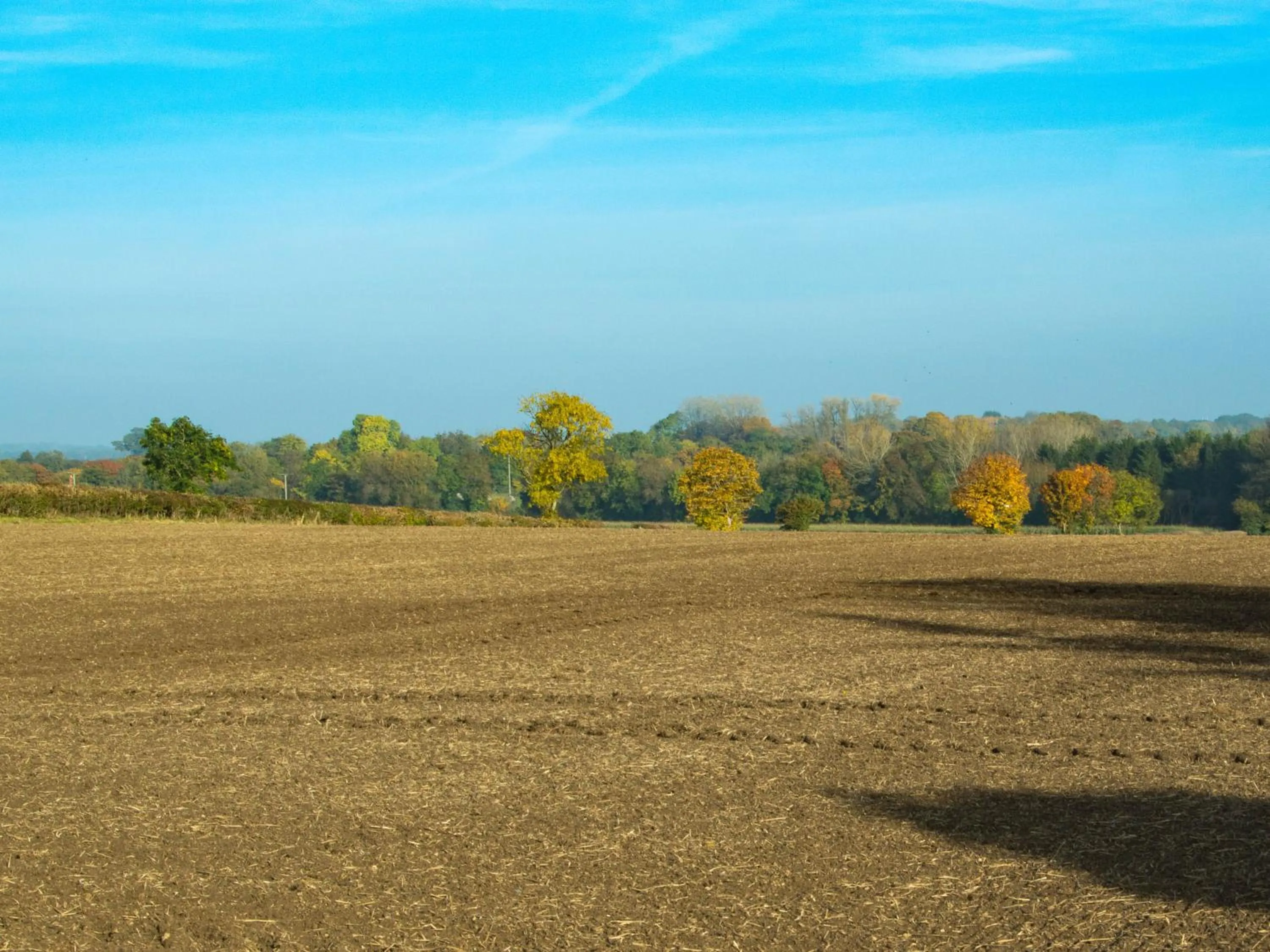 On site in Field End House Strawberry Lane Meysey Hampton