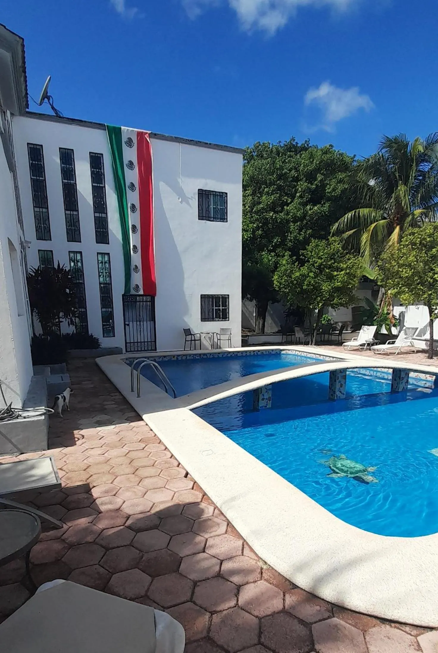 Swimming pool in Claro de Luna