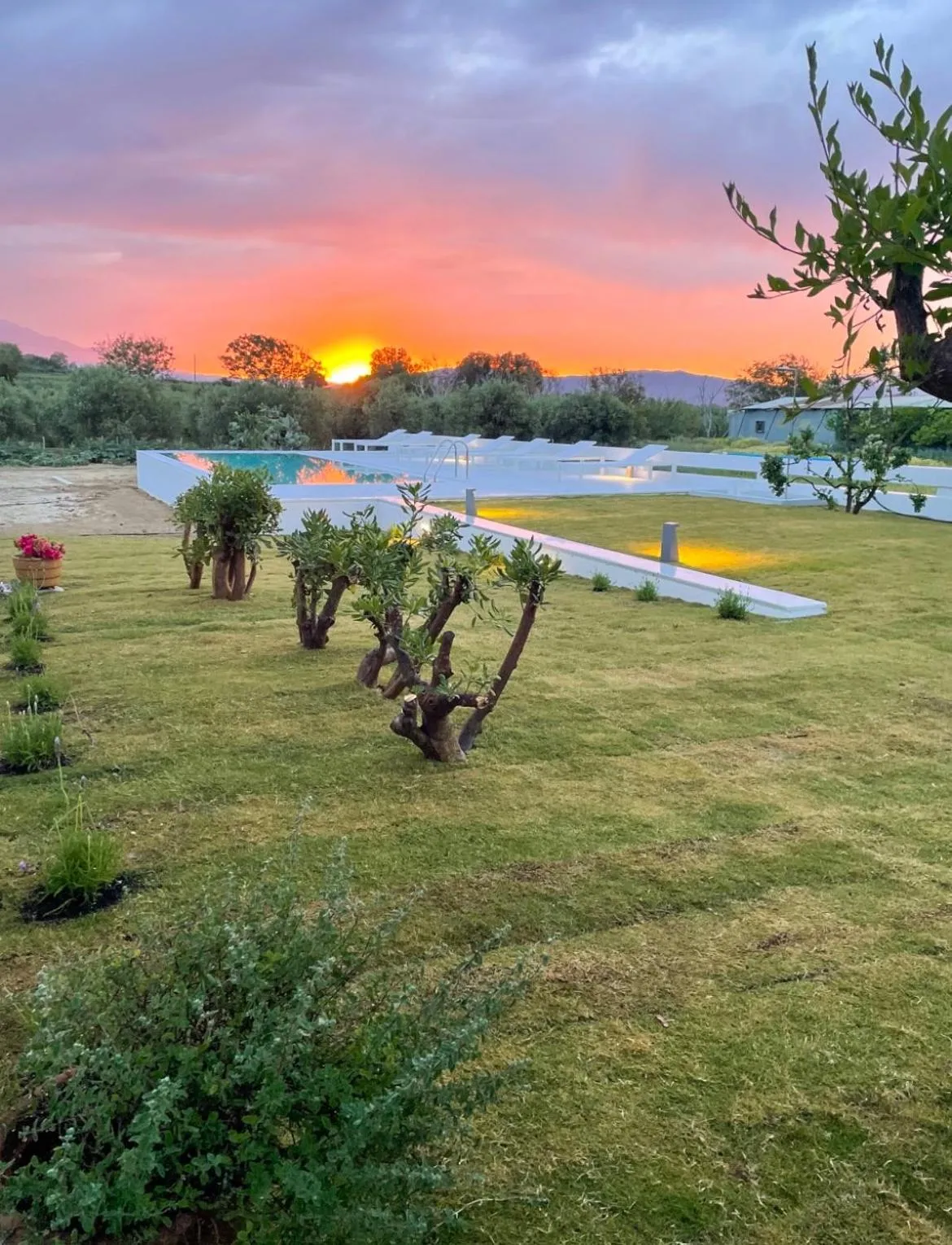 Garden in Mikro Livadi Special Lodges - Has an Eco Salt water pool - 150m from the beach