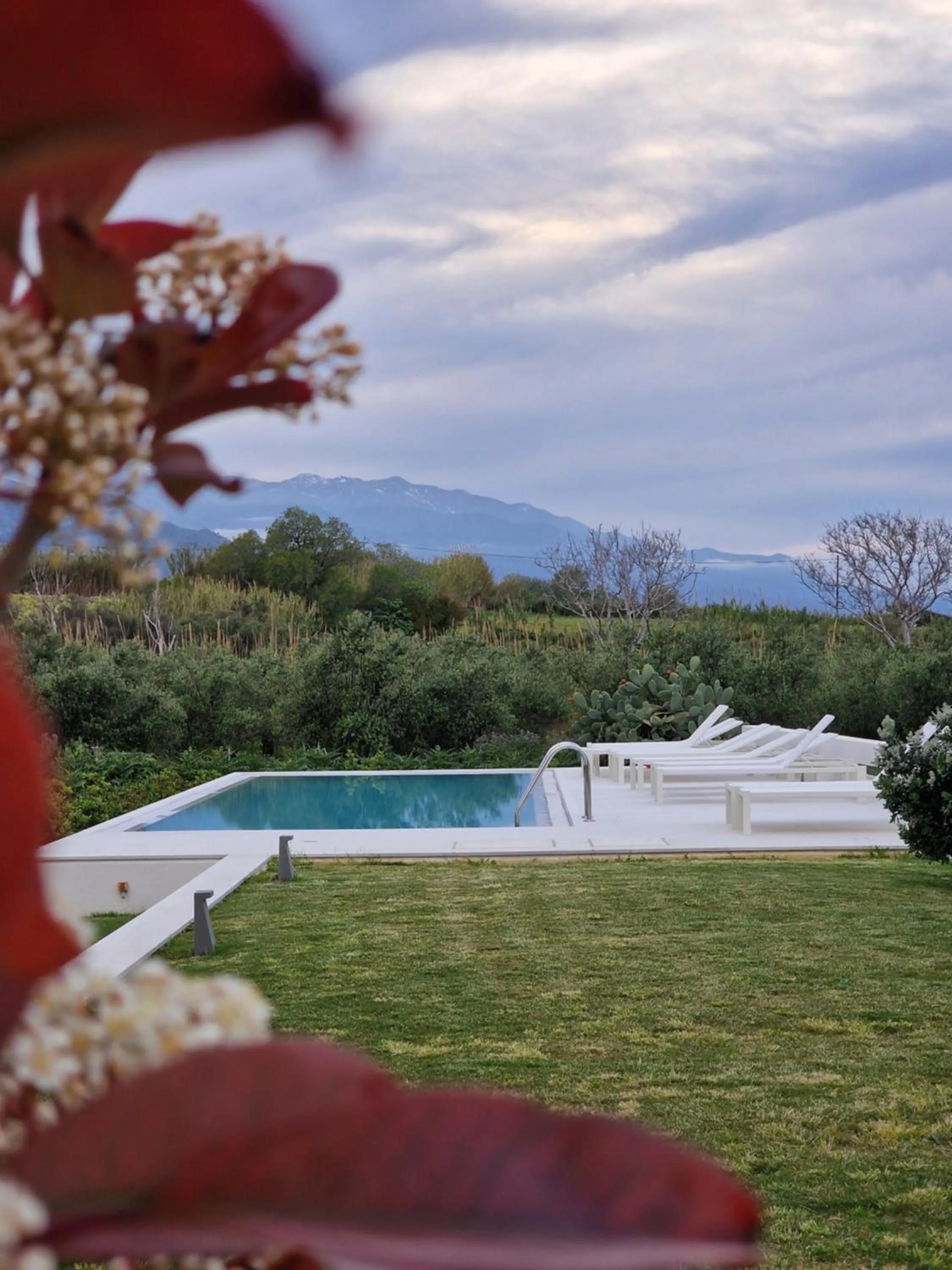 Mikro Livadi Special Lodges - Has an Eco Salt water pool - 150m from the beach