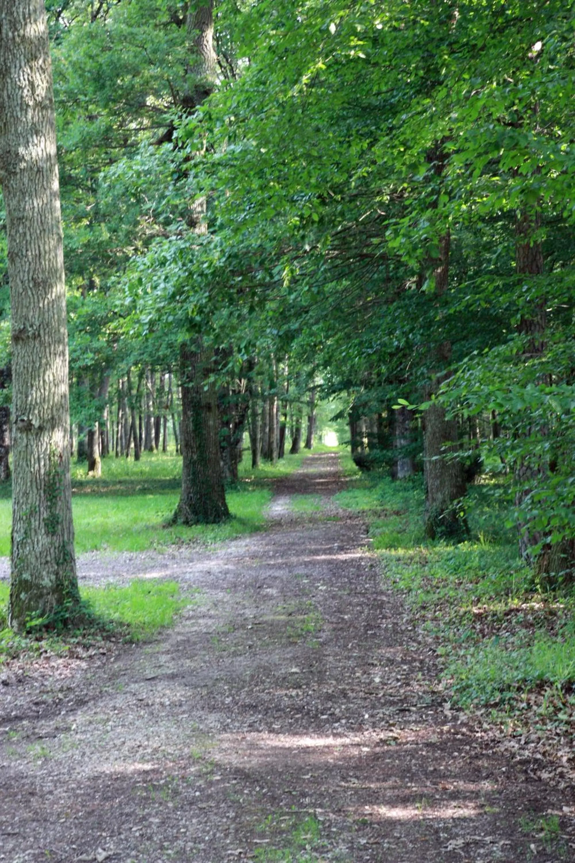 Area and facilities in Le Relais Des Landes - Demeures et Chateaux