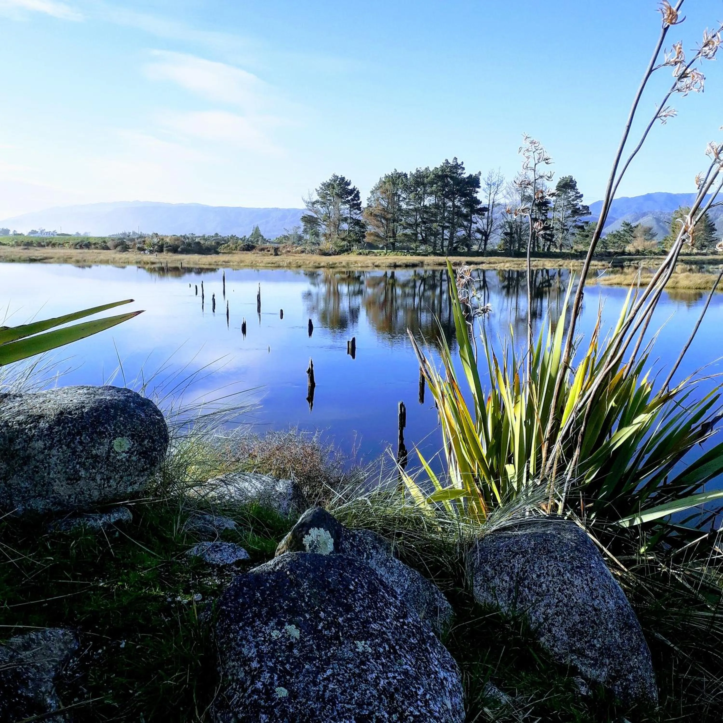 Natural landscape in Karamea River Motels
