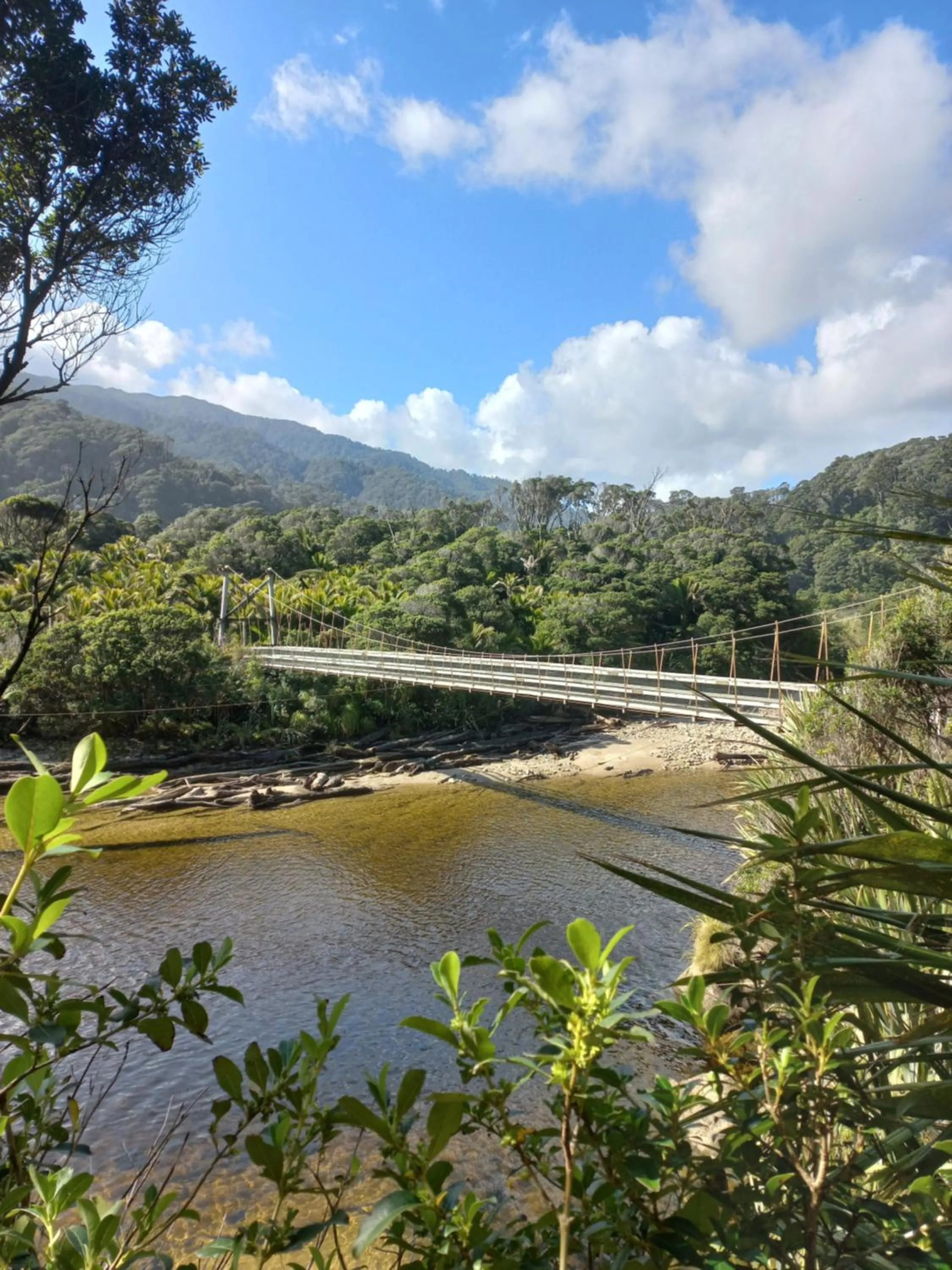 Natural landscape in Karamea River Motels