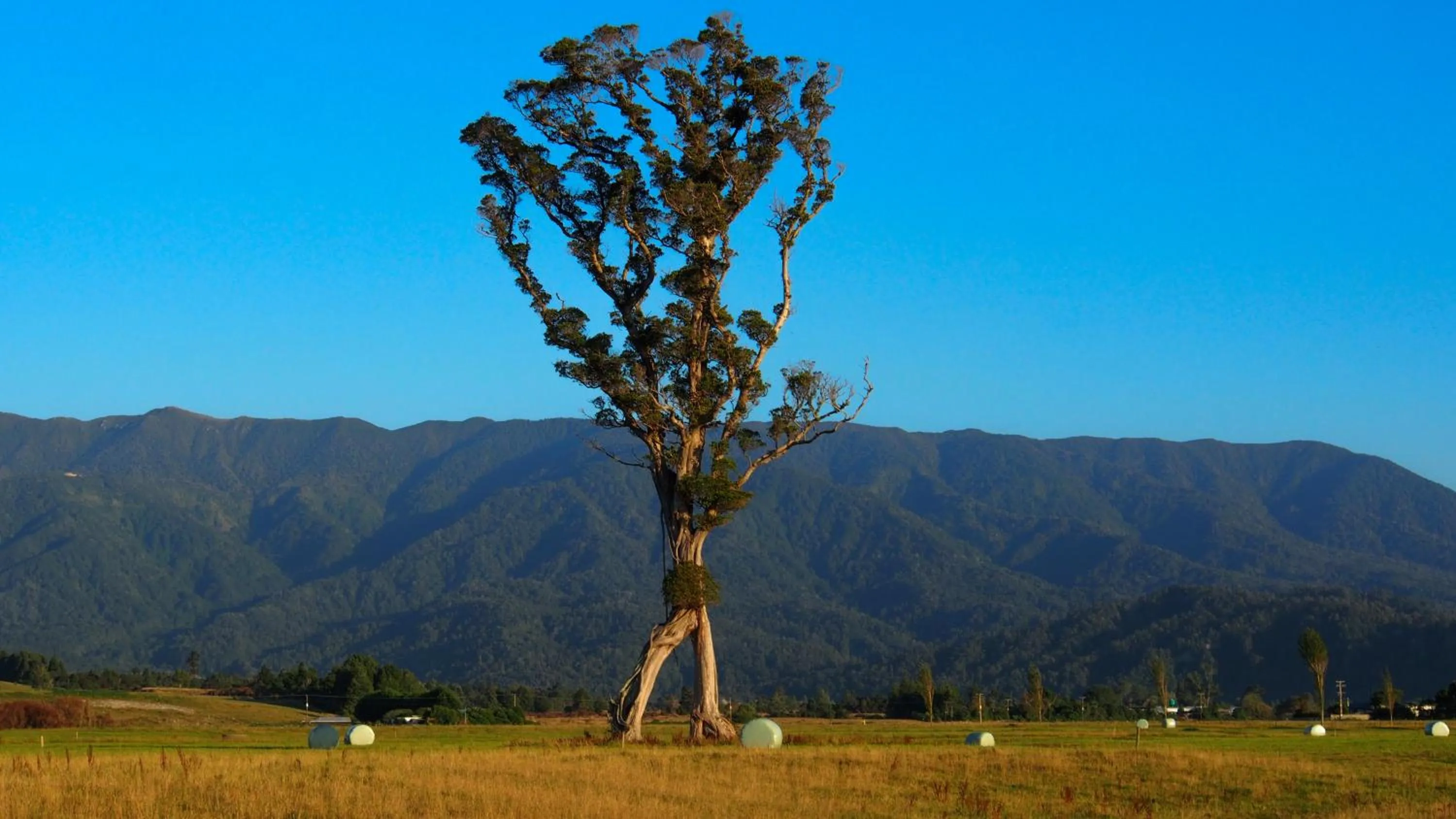 Nearby landmark in Karamea River Motels