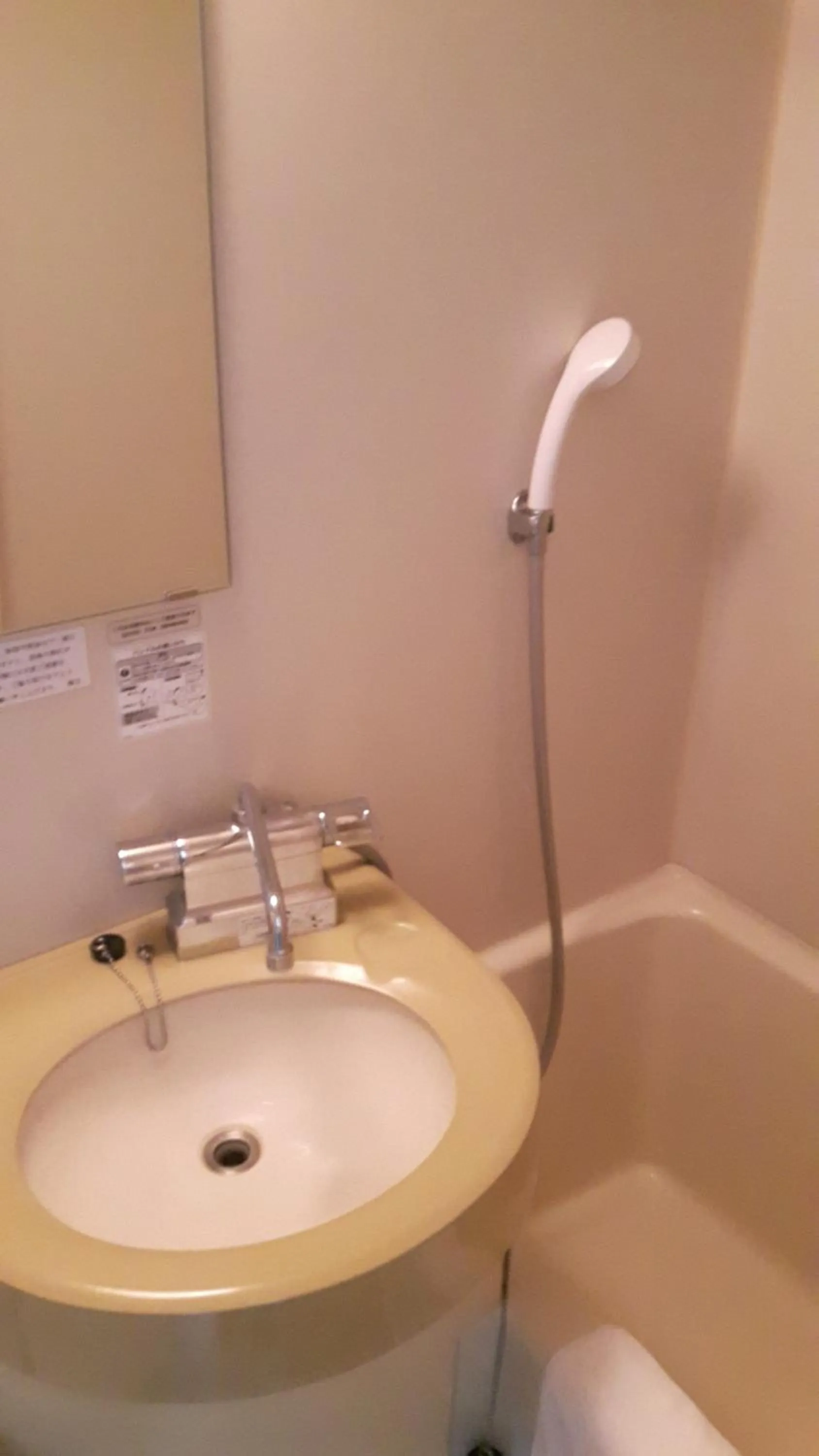 Other in Plaza Hotel Fujinoi