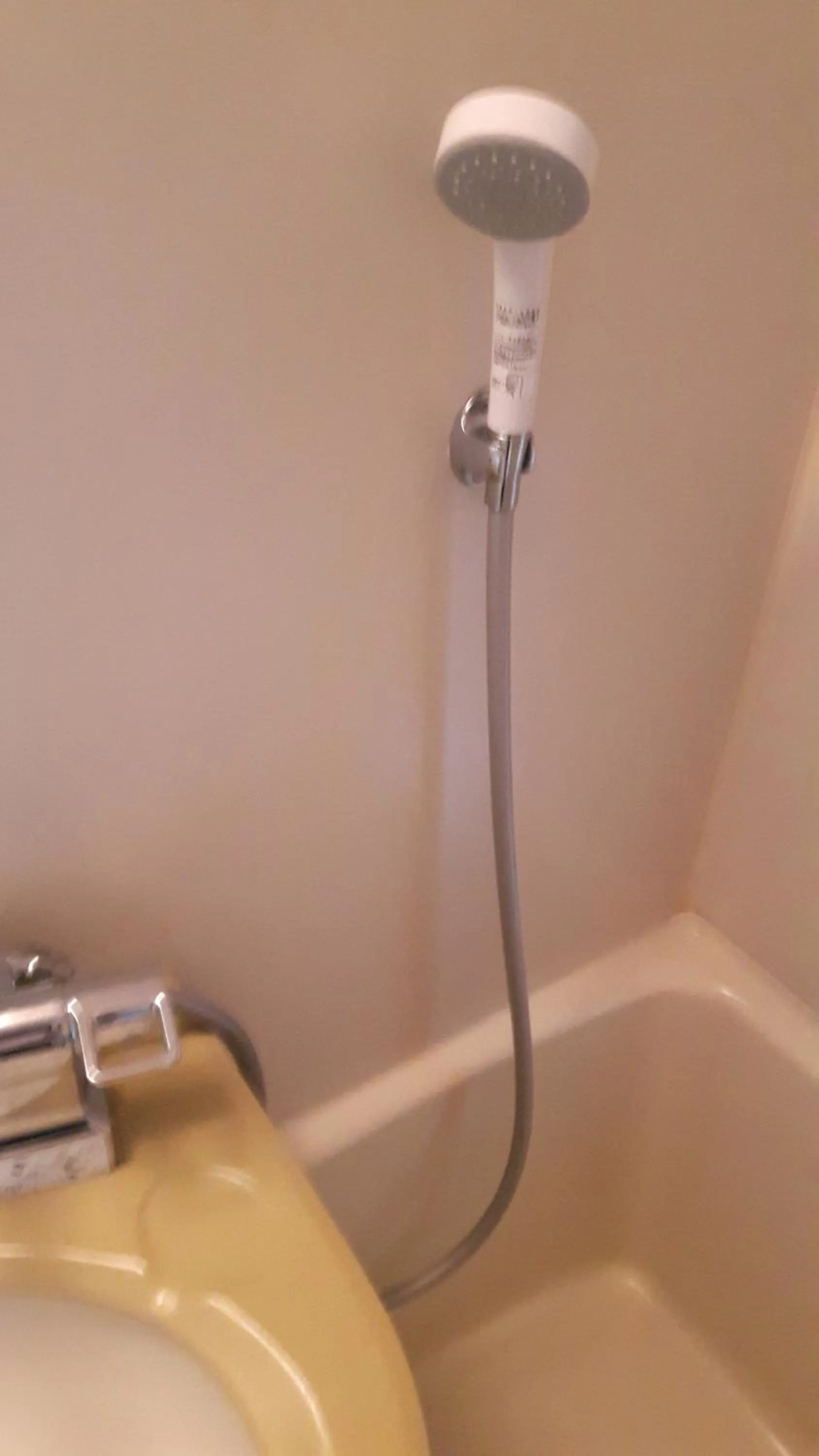 Other in Plaza Hotel Fujinoi