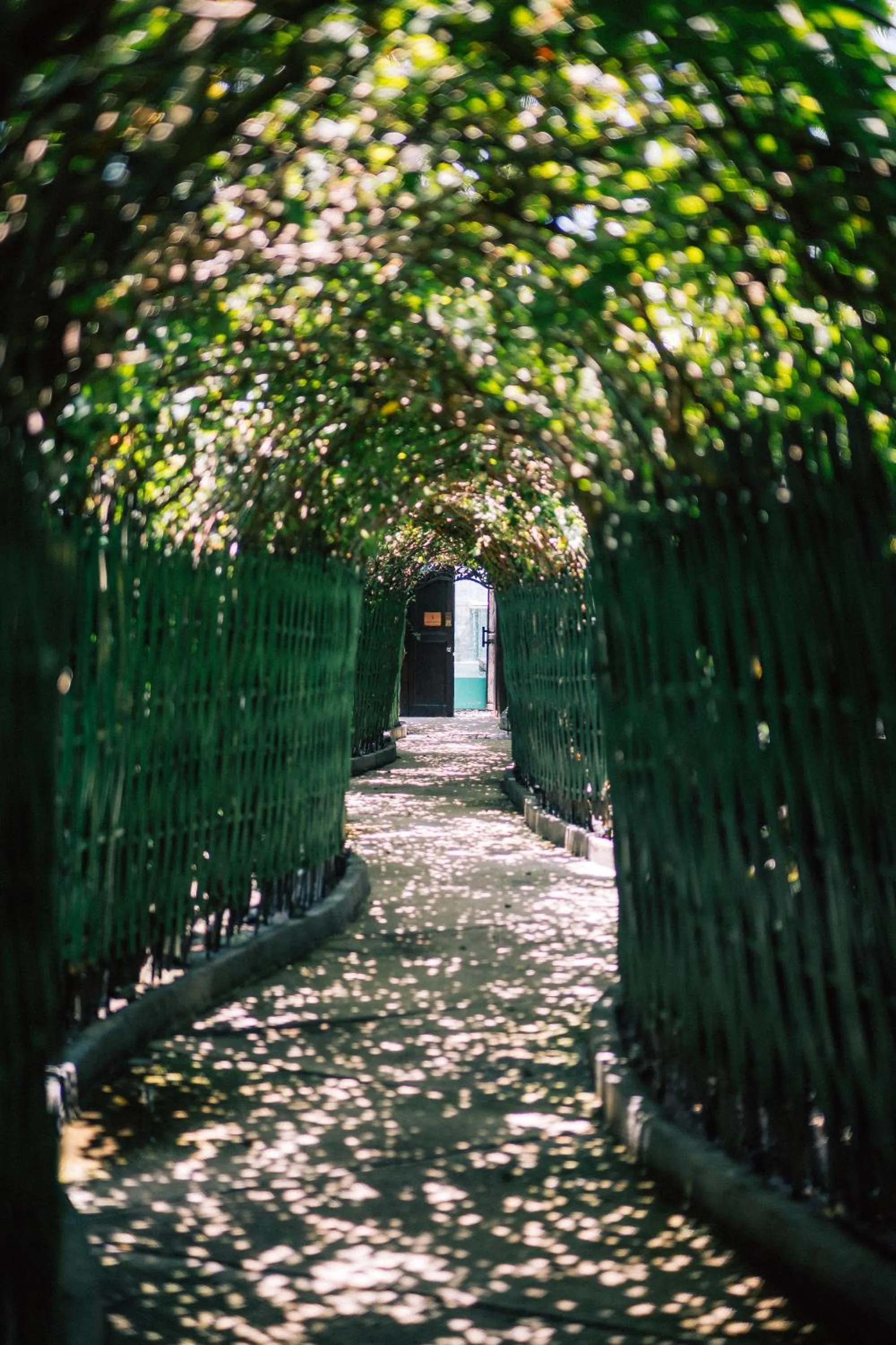 Facade/entrance in Camilla Resort