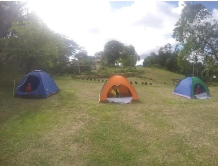 Tent in Al Hamra Jungle Resort