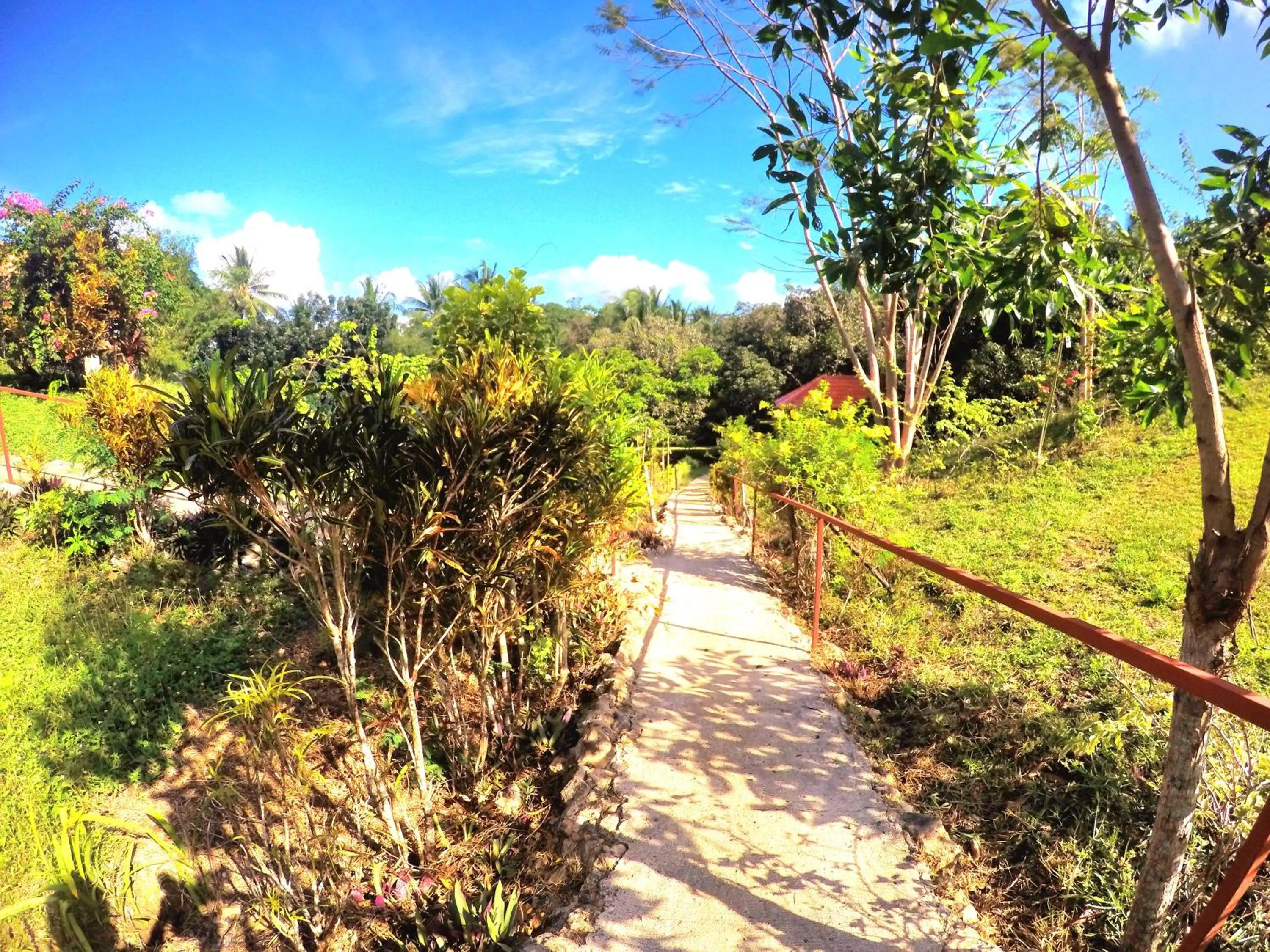 Al Hamra Jungle Resort