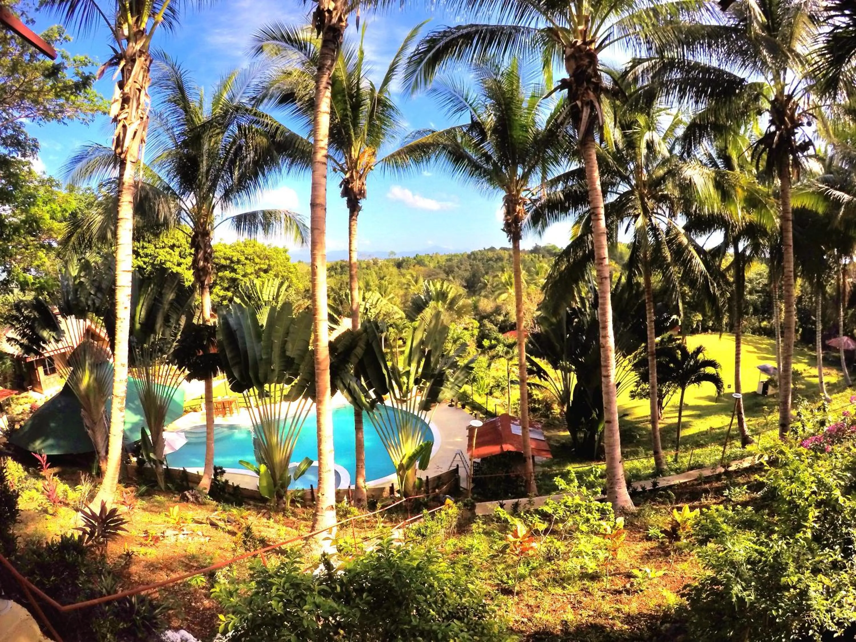 Al Hamra Jungle Resort