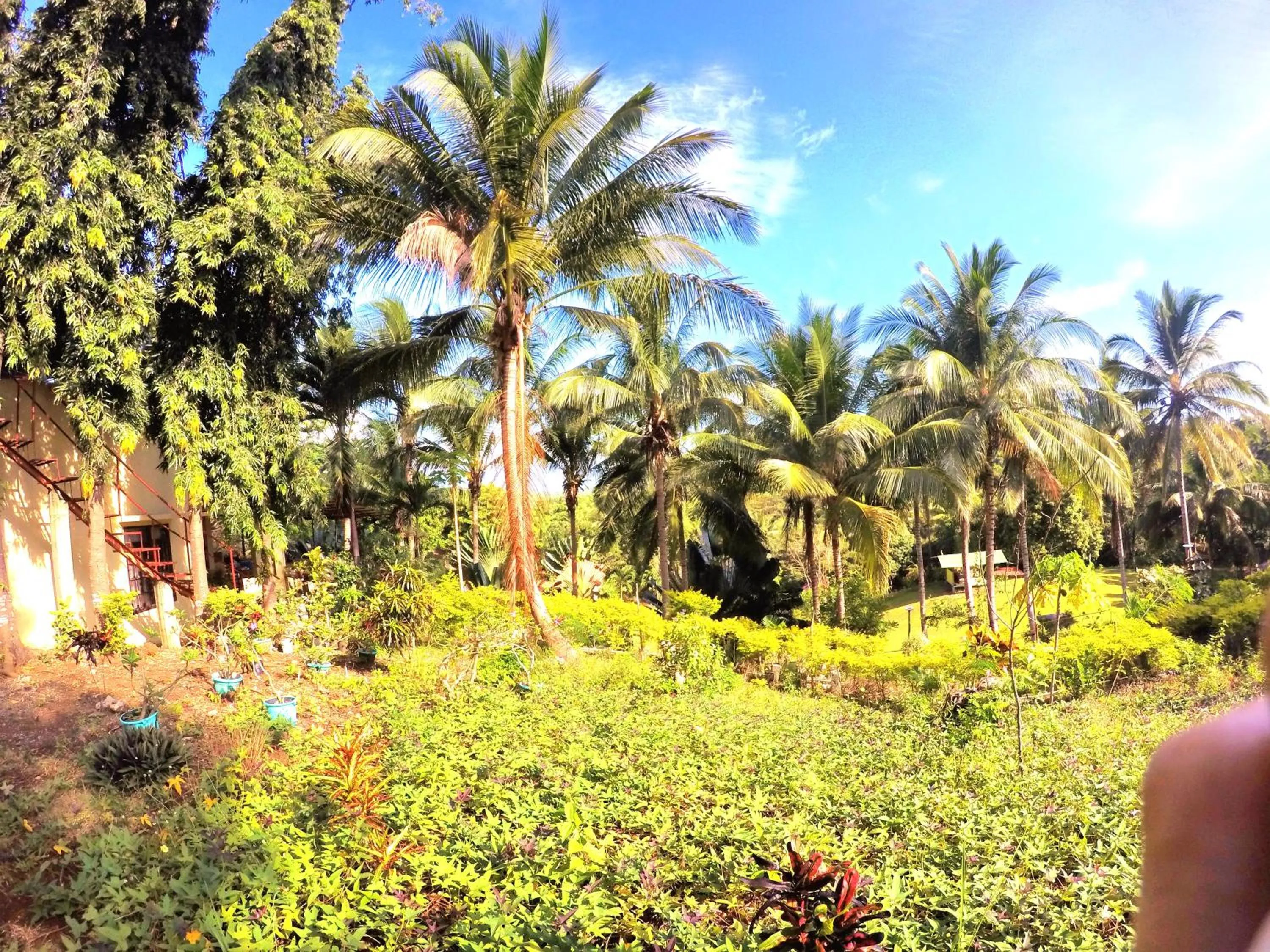 Al Hamra Jungle Resort